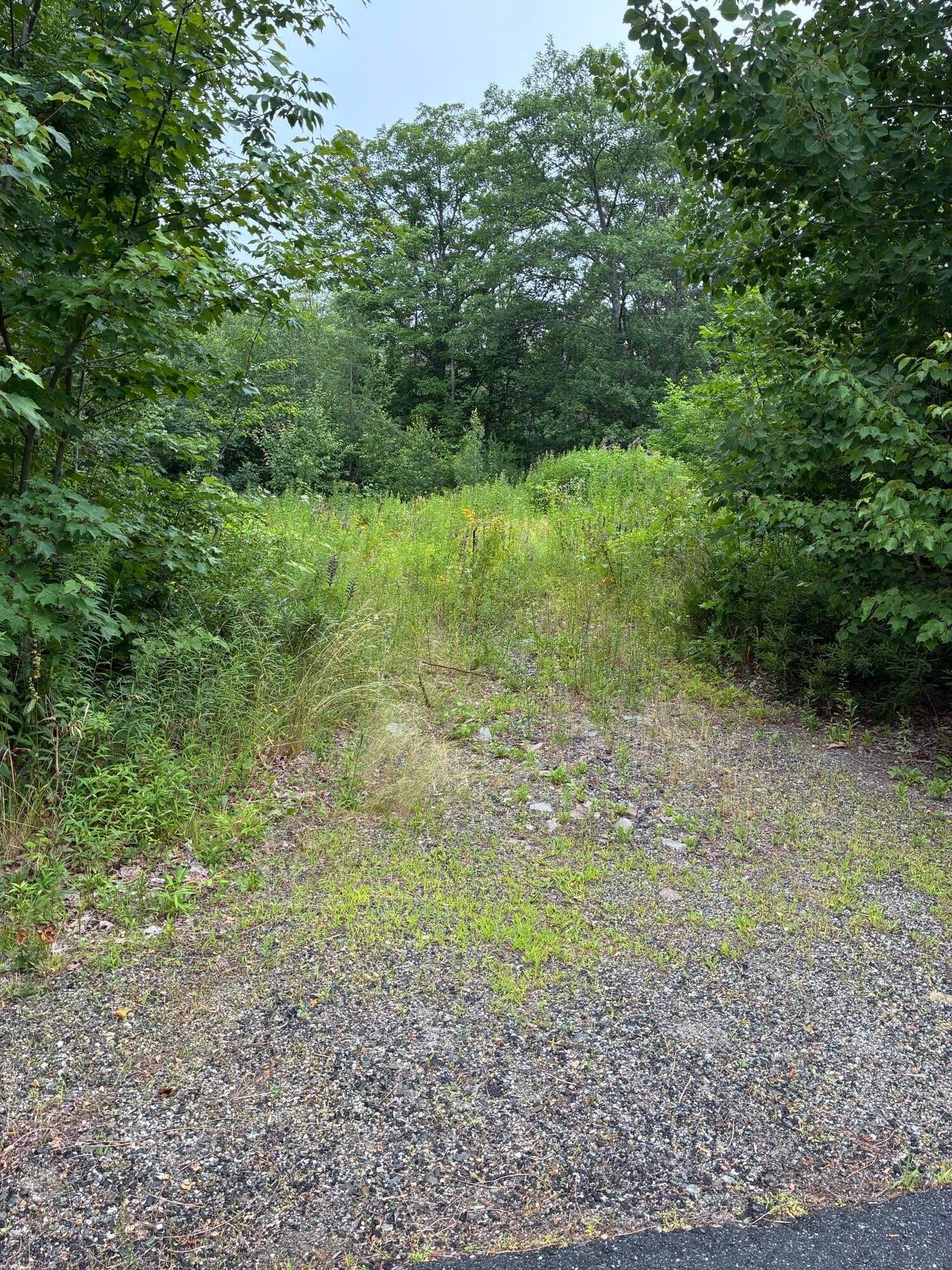 Lot 10 White Deer Circle