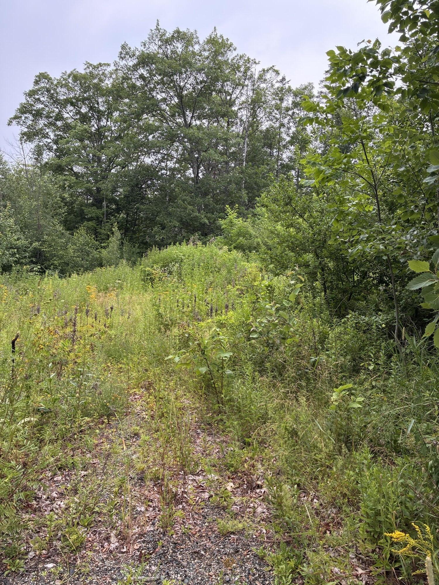 Lot 10 White Deer Circle