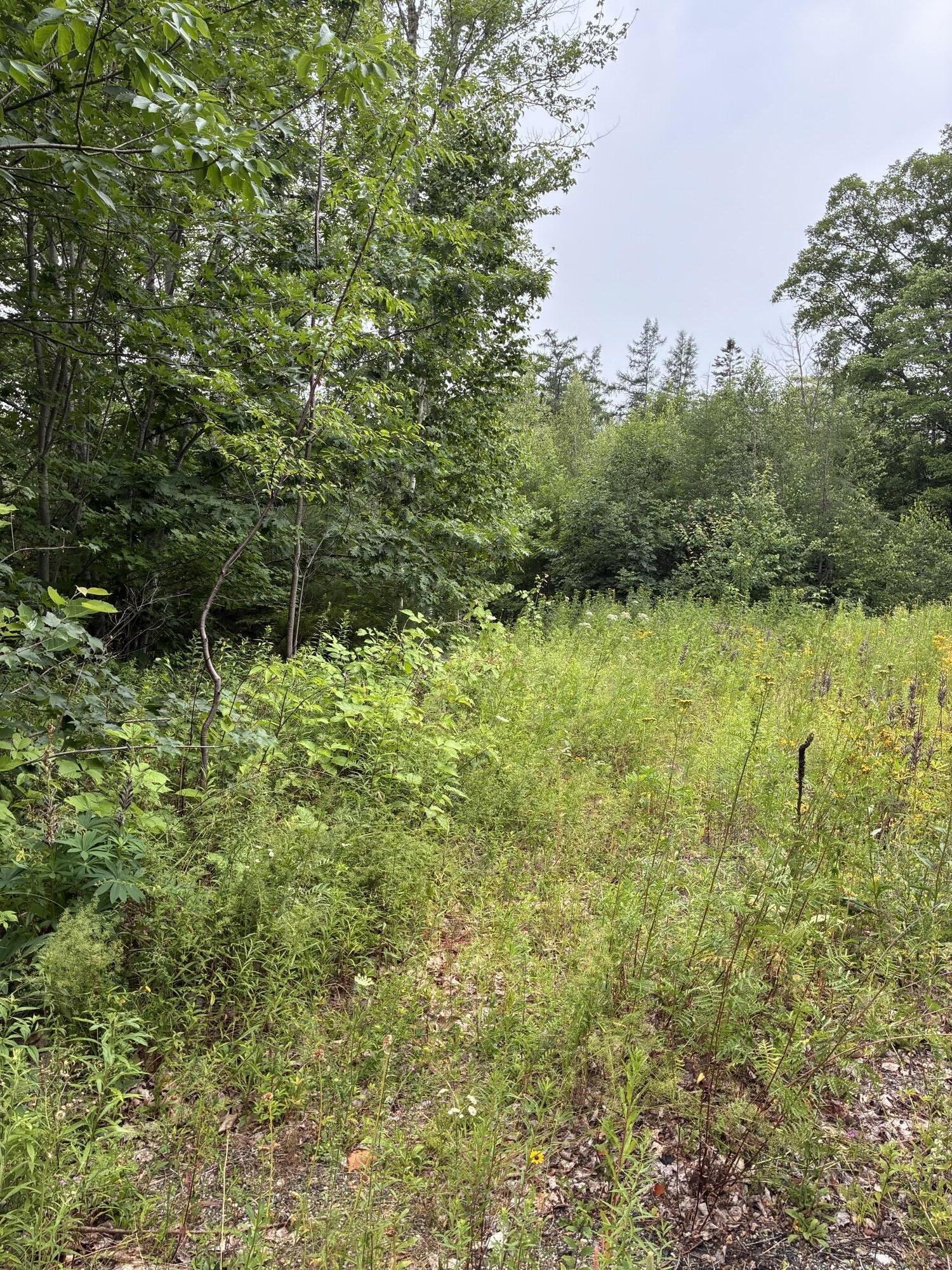 Lot 10 White Deer Circle