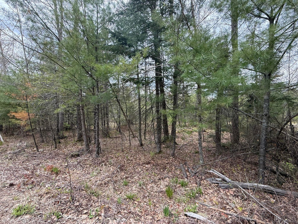Photo of M R14 L 42 T M Wentworth Road, Lebanon, ME 04027 (MLS # 1662121)