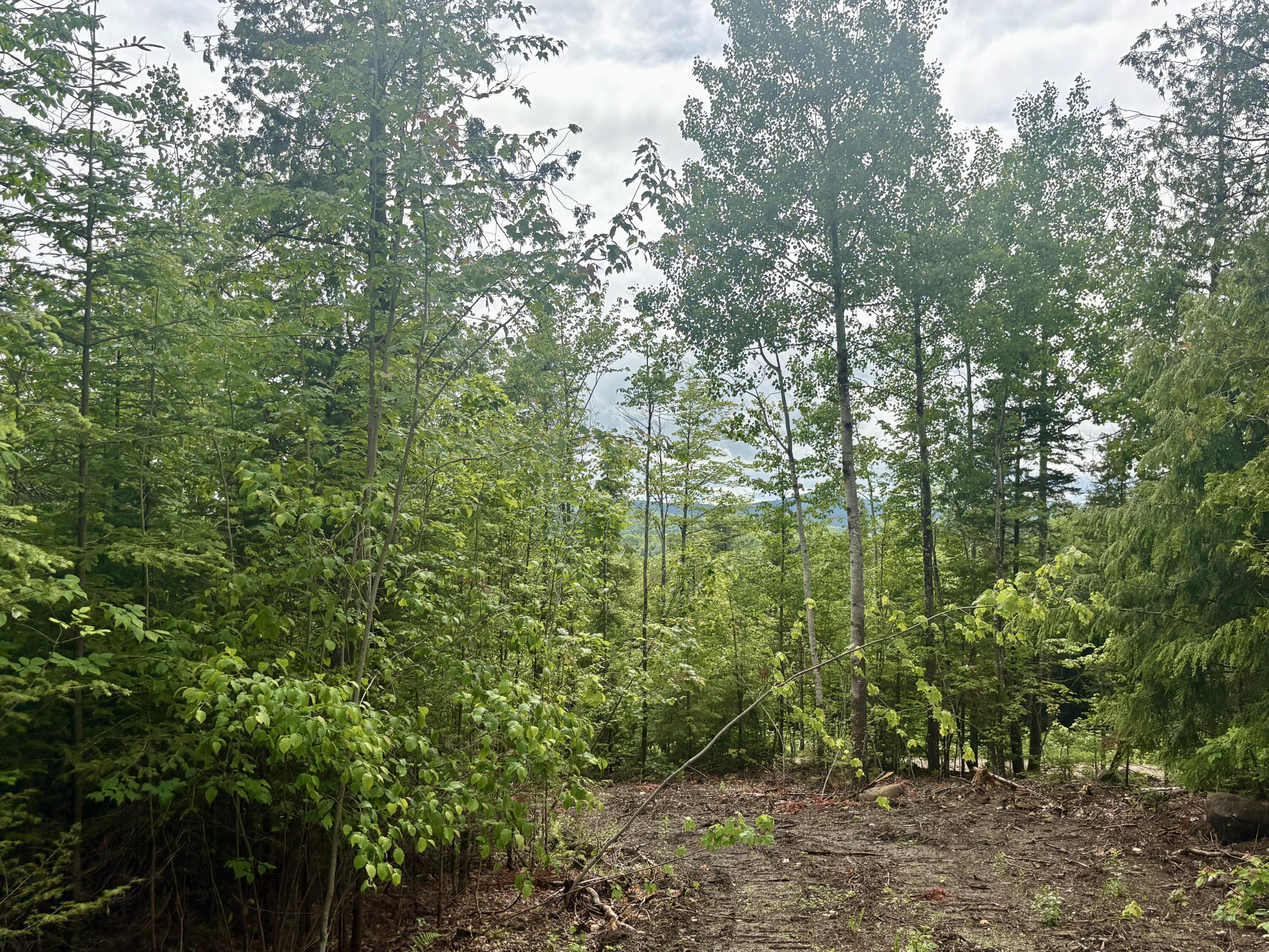 Lot 10 Mt. Jefferson Heights