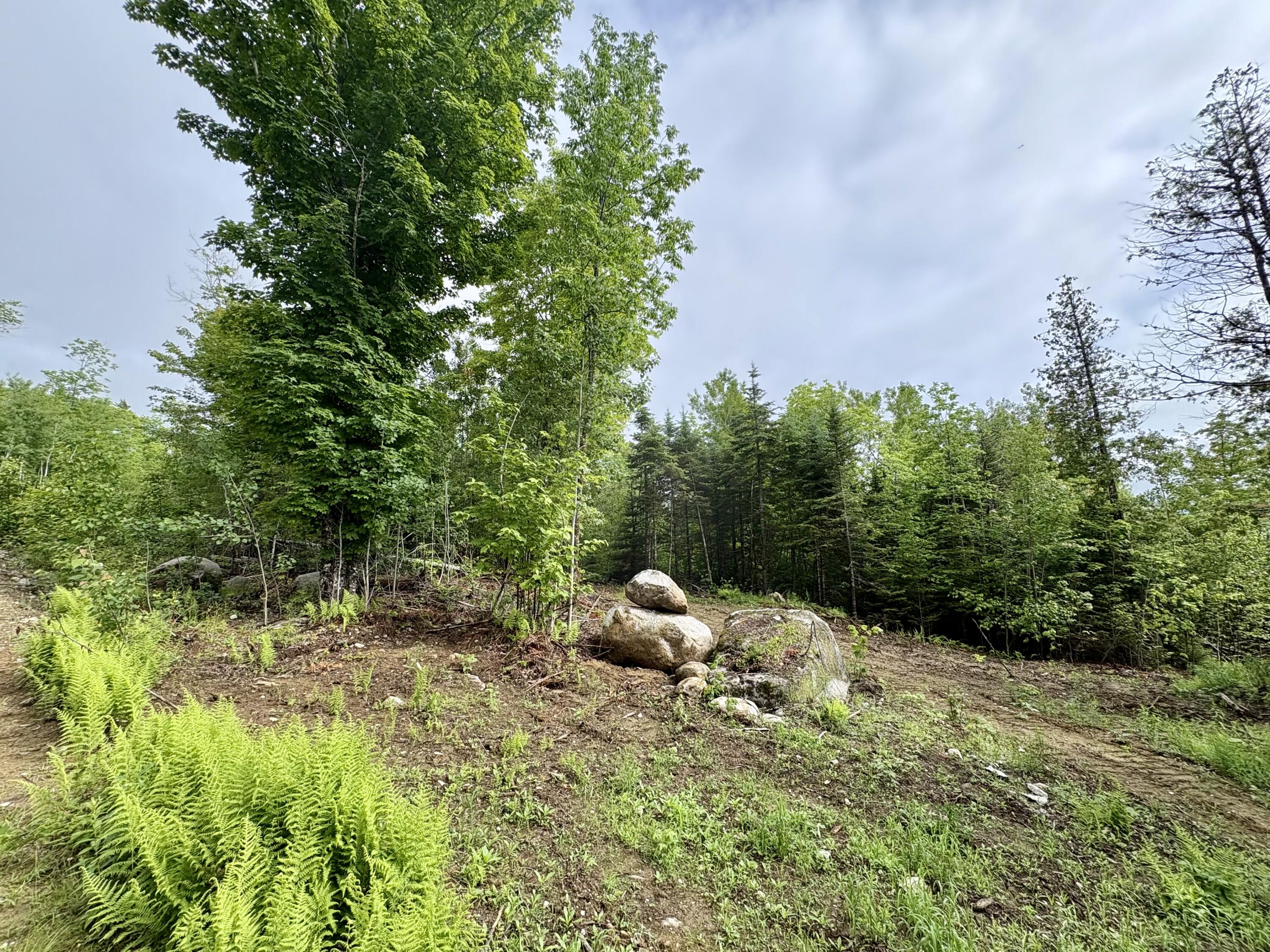 Lot 10 Mt. Jefferson Heights