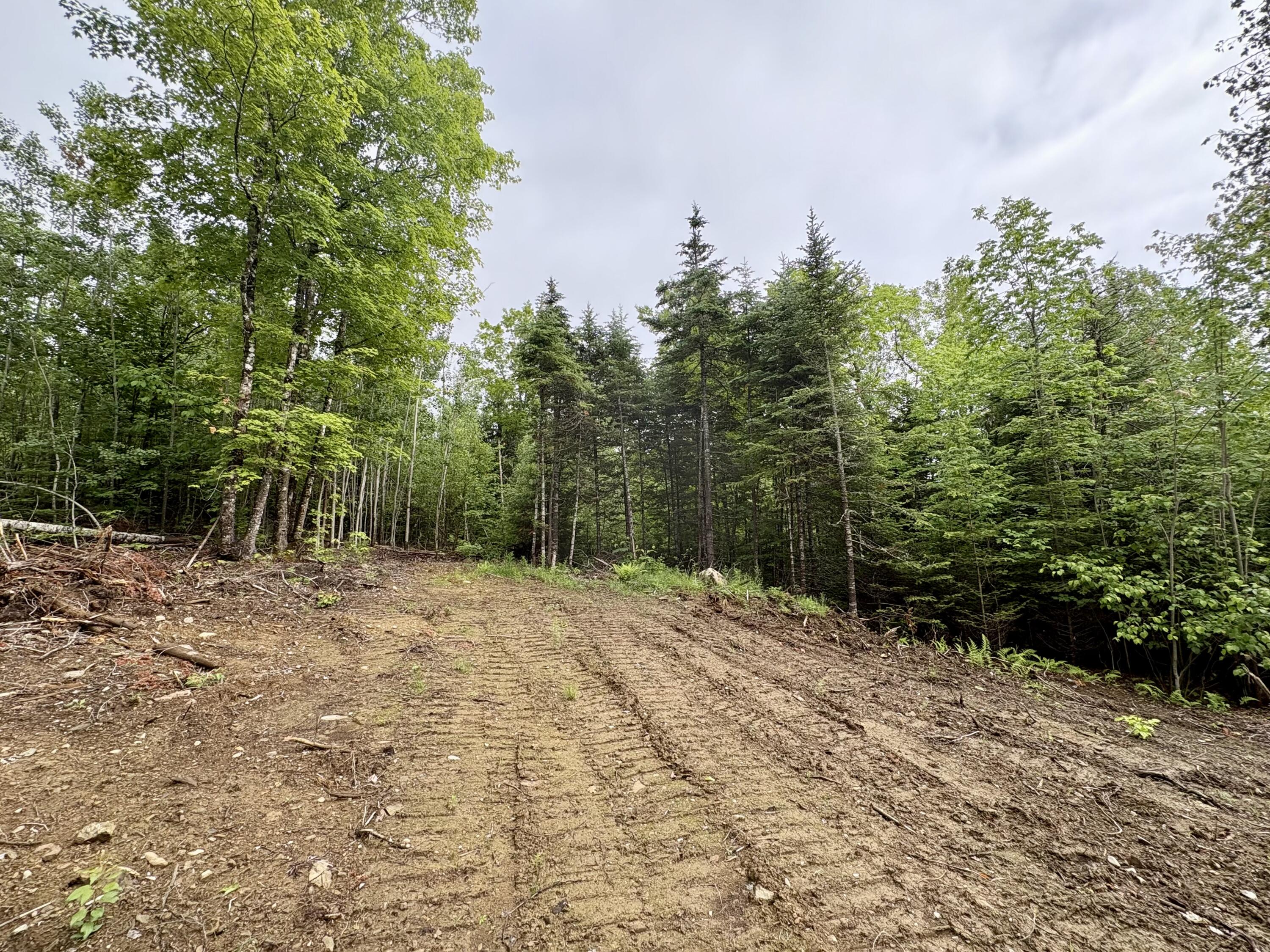 Lot 10 Mt. Jefferson Heights