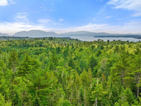 Photo of 0 Catamount Road, Sullivan, ME 04664 (MLS # 1670594)
