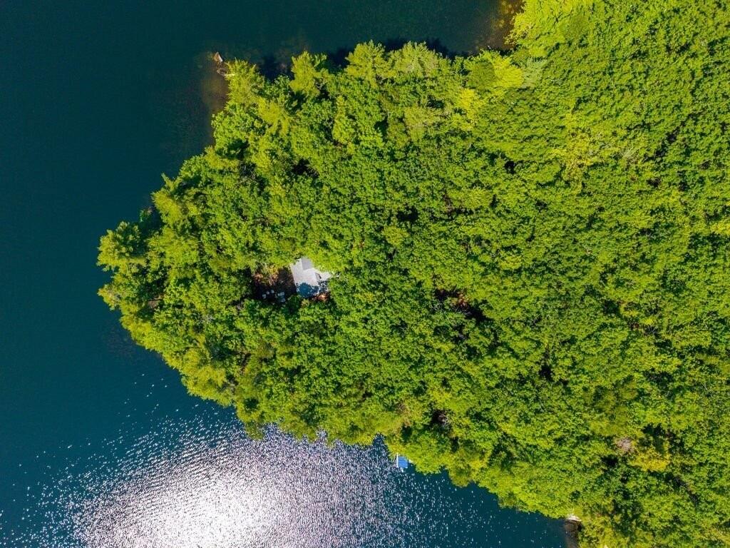 1 Black Island & 93 Birchwood Lane