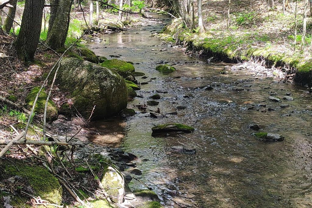 Photo of 463 Clover Mill Road, Farmington, ME 04938 (MLS # 1640577)