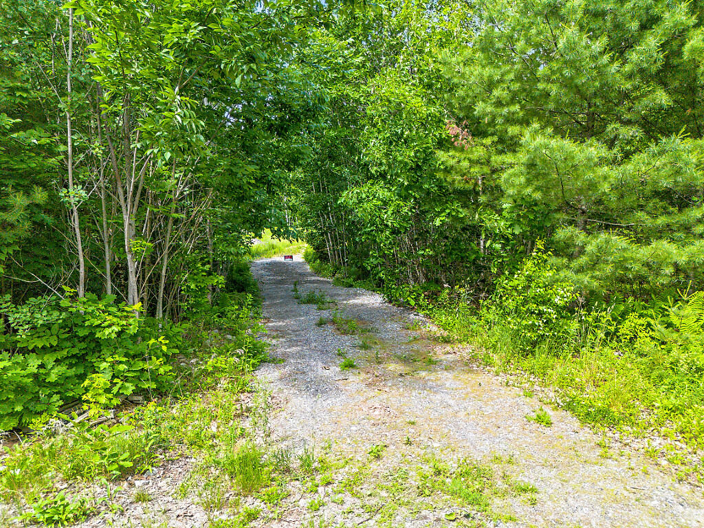 0 Burkettville Road