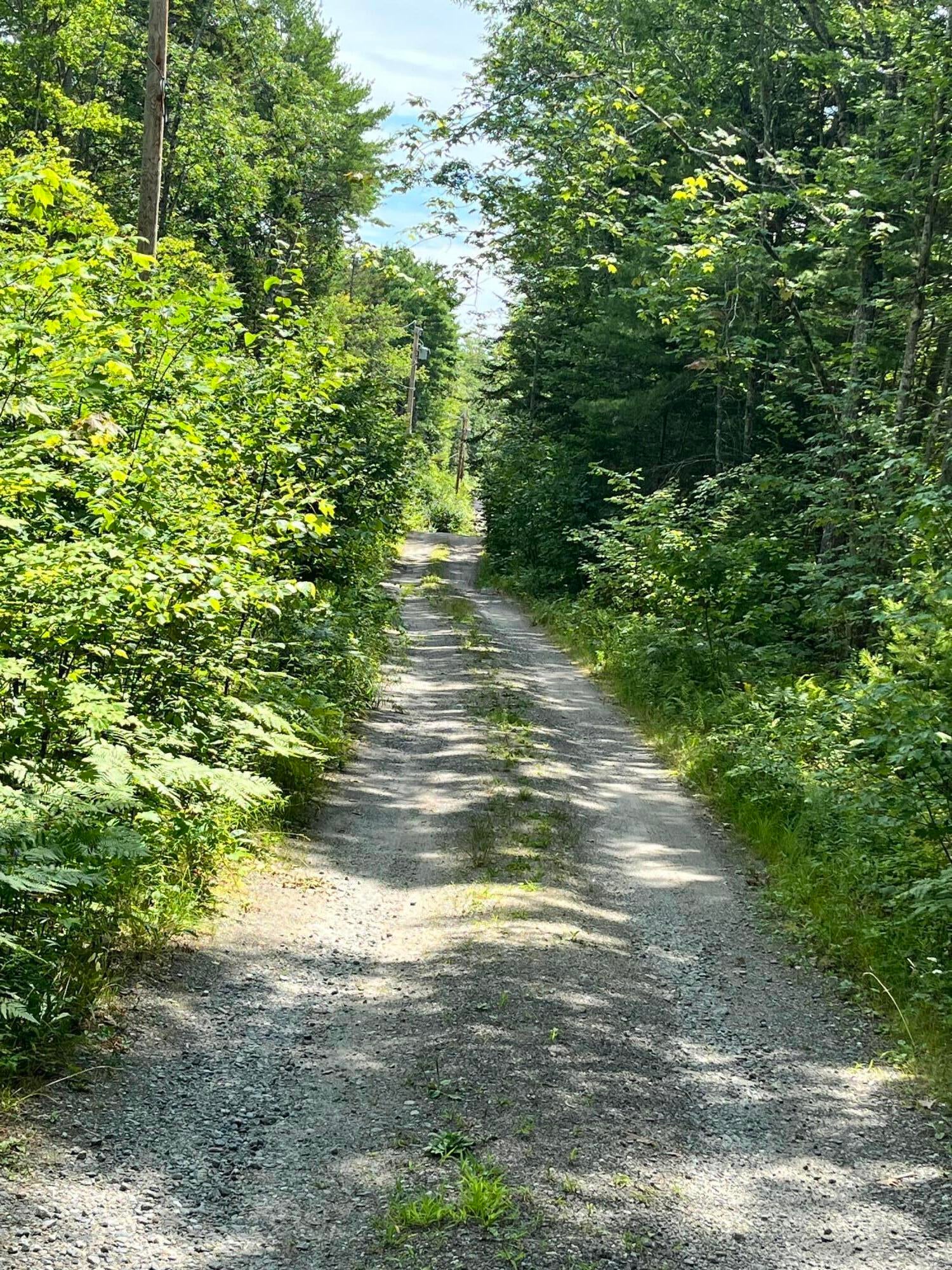 Lot 5 Will Butler Lane