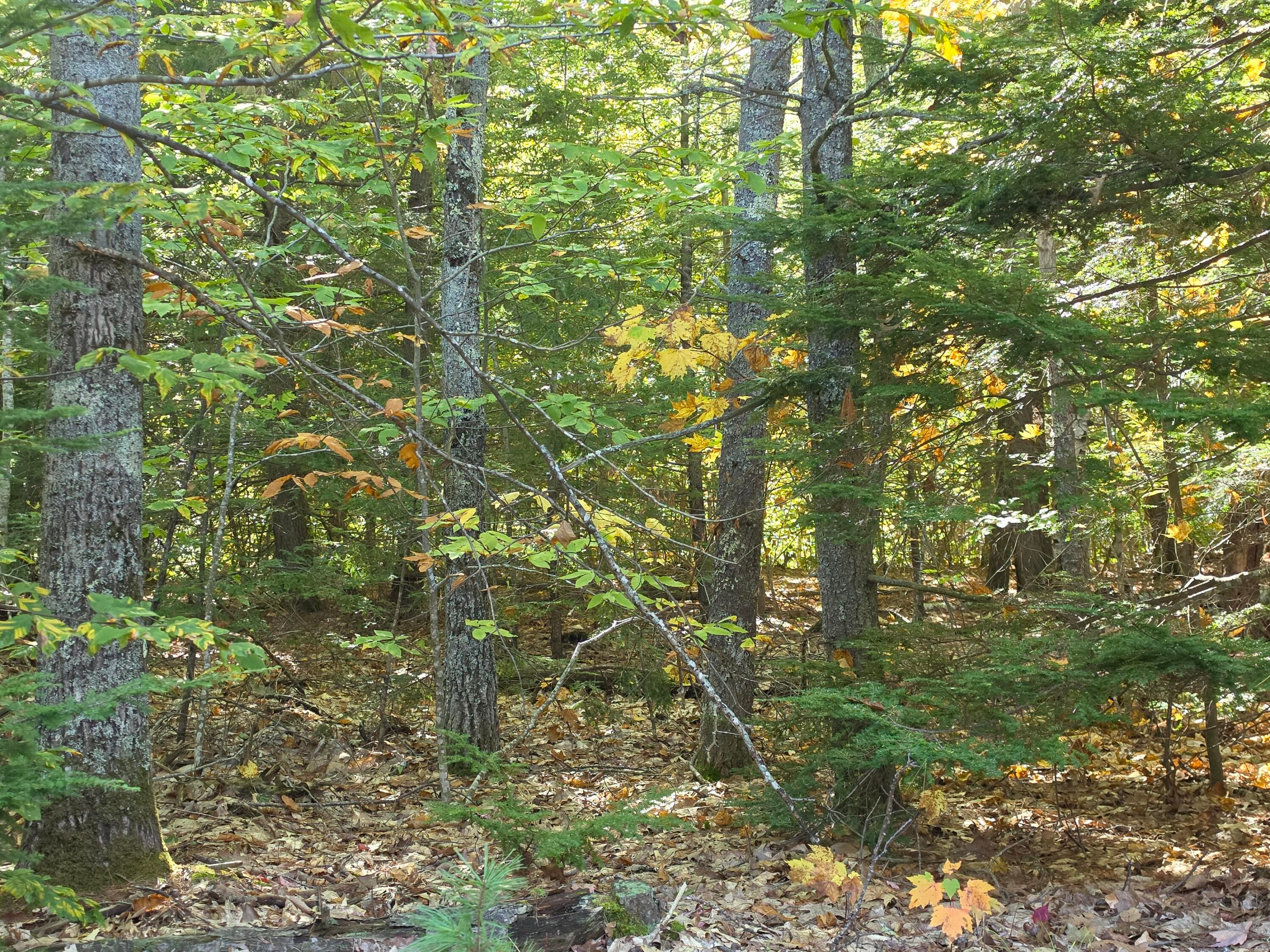 36 Standish Neck Road