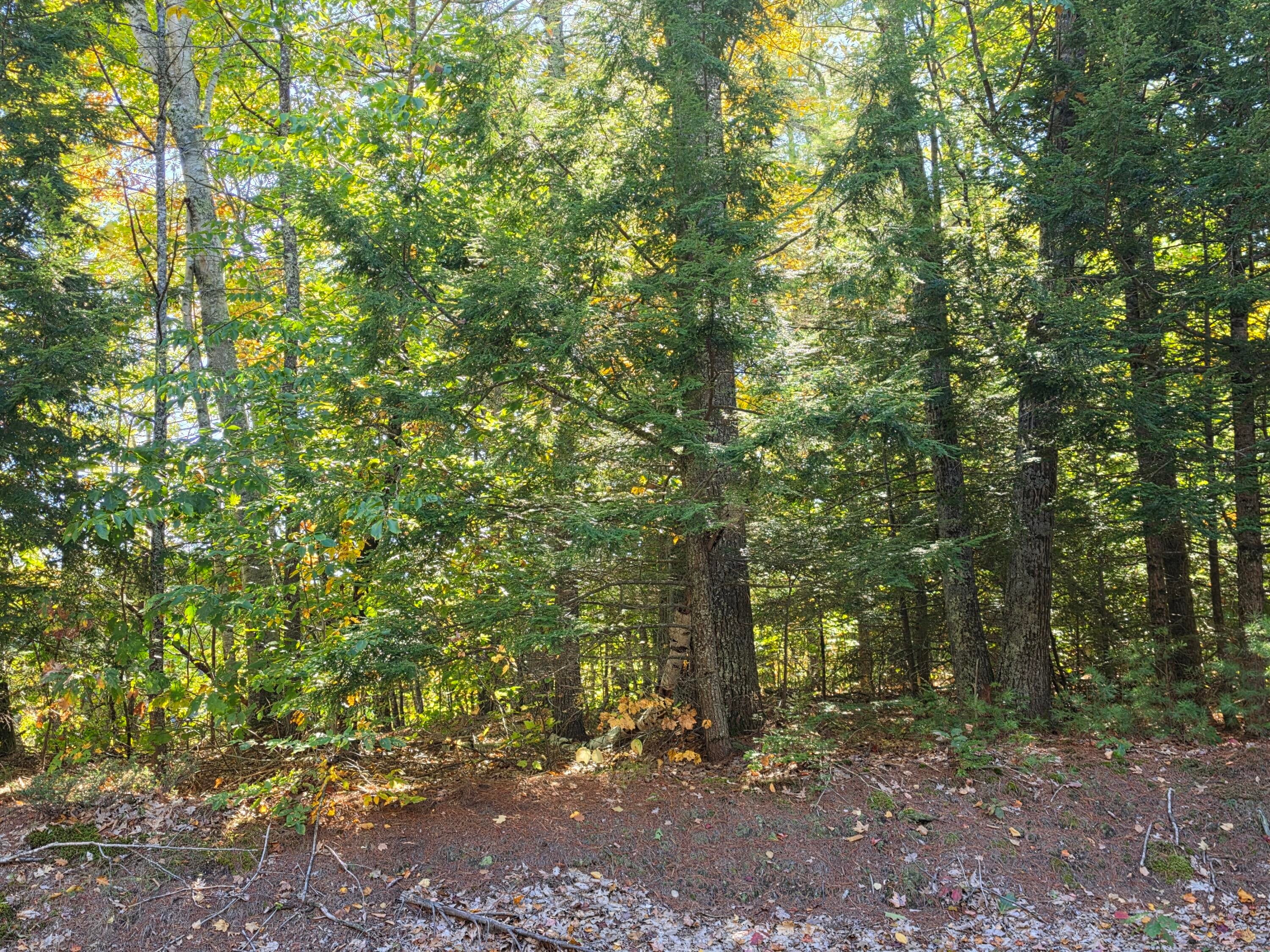 36 Standish Neck Road