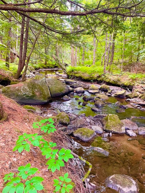 Photo of PO M20 L25 4 Mile Square Road, Anson, ME 04911 (MLS # 1663301)