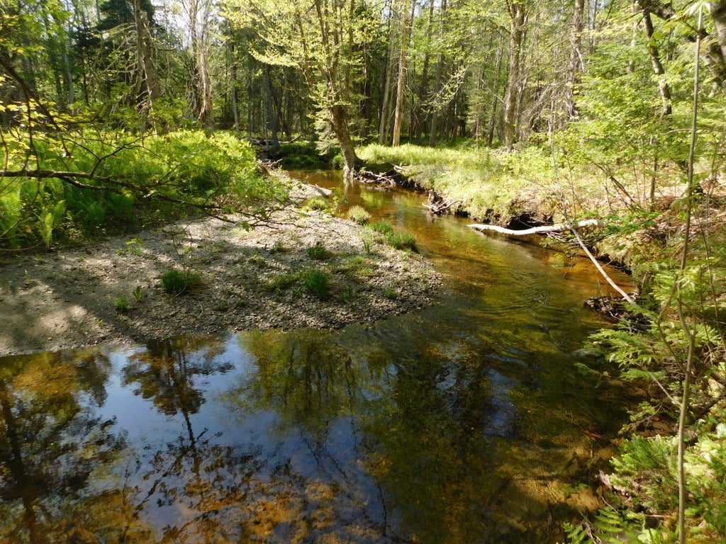 Photo of PO M20 L25 4 Mile Square Road, Anson, ME 04911 (MLS # 1663301)