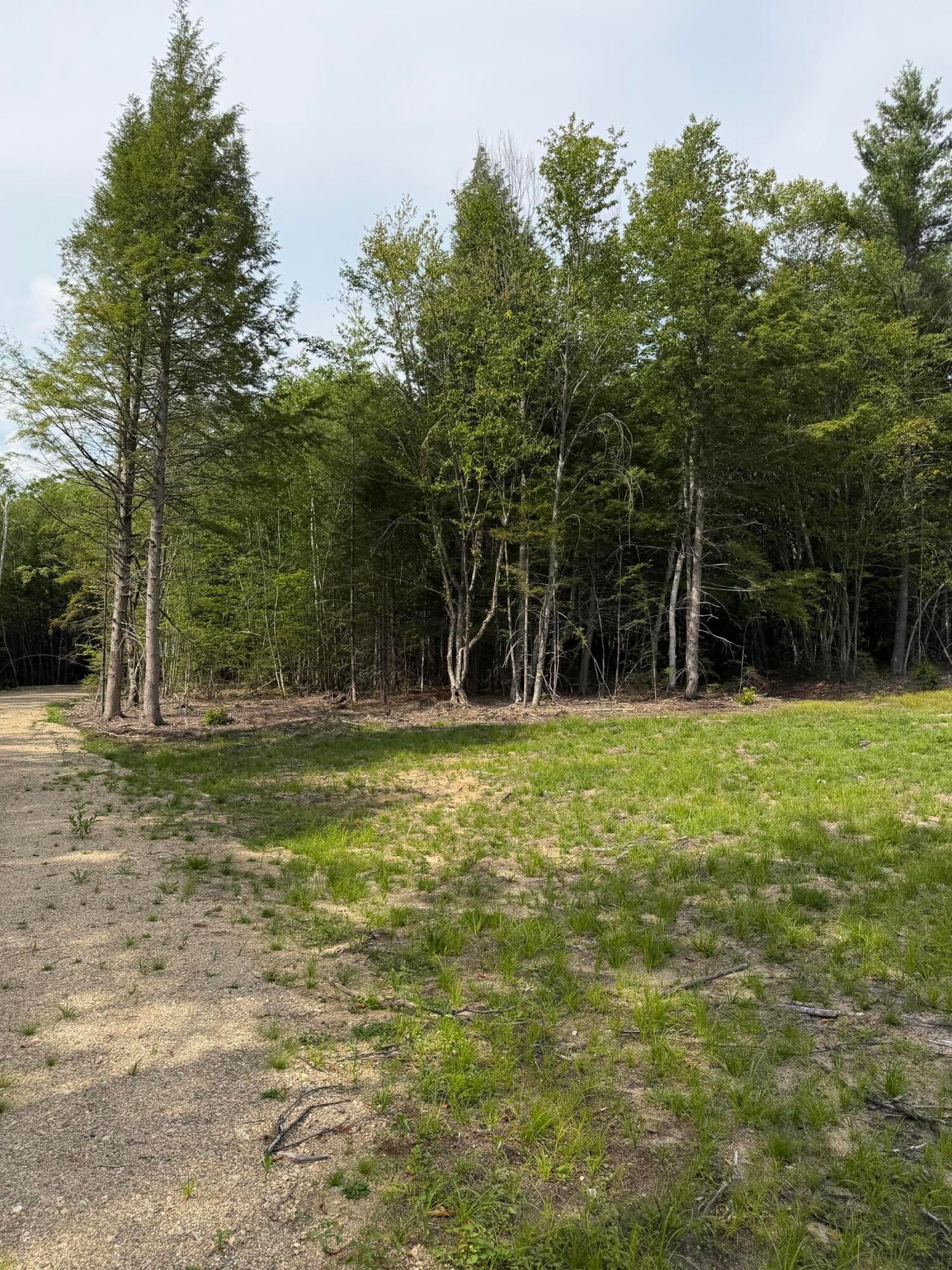 TBD Field View Road