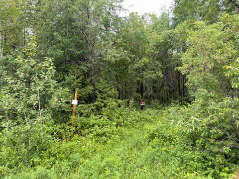 Photo of M3 L7-E Fowler Road, Woodland, ME 04736 (MLS # 1668159)