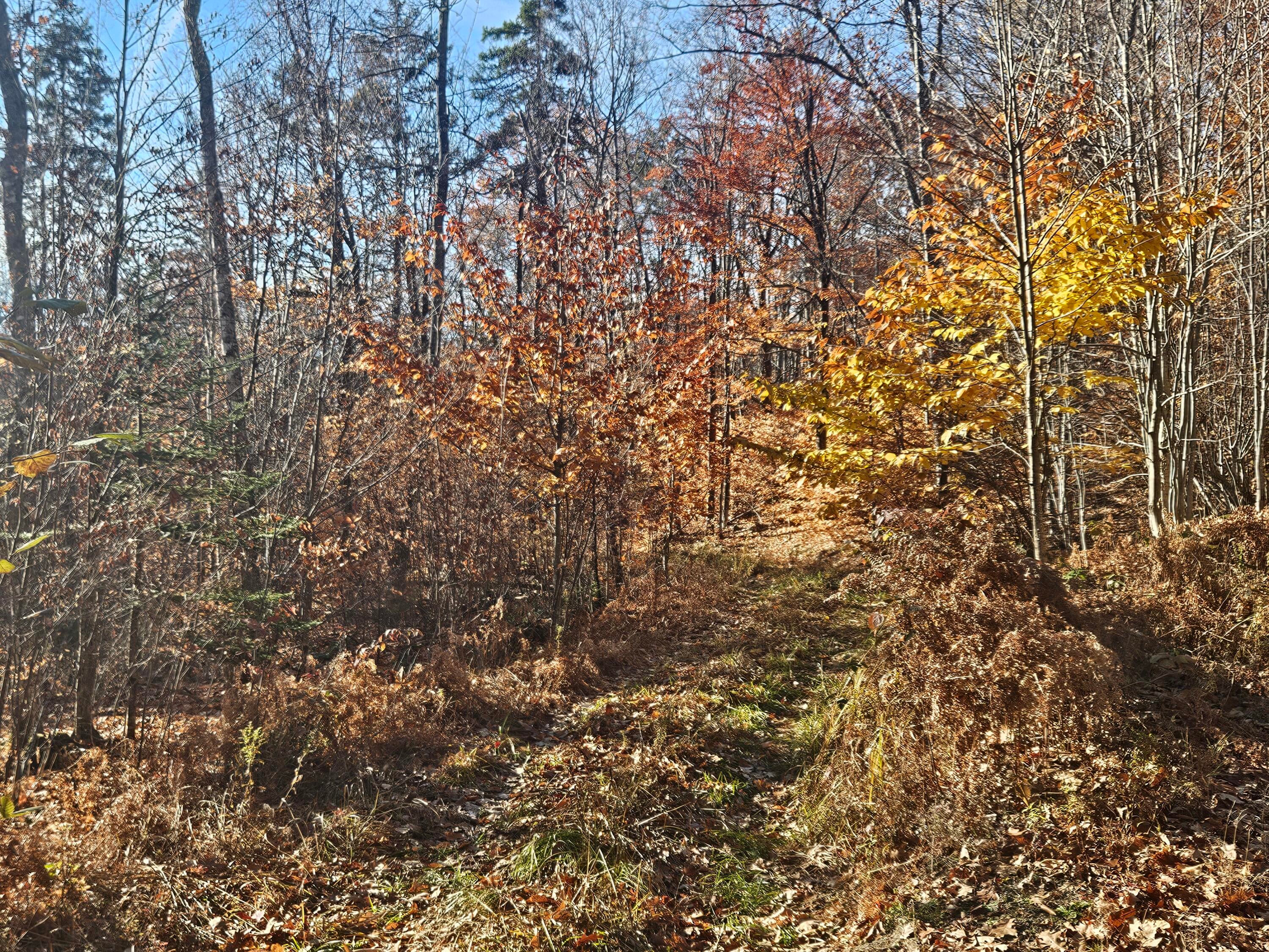 134 Pratt Mountain Road