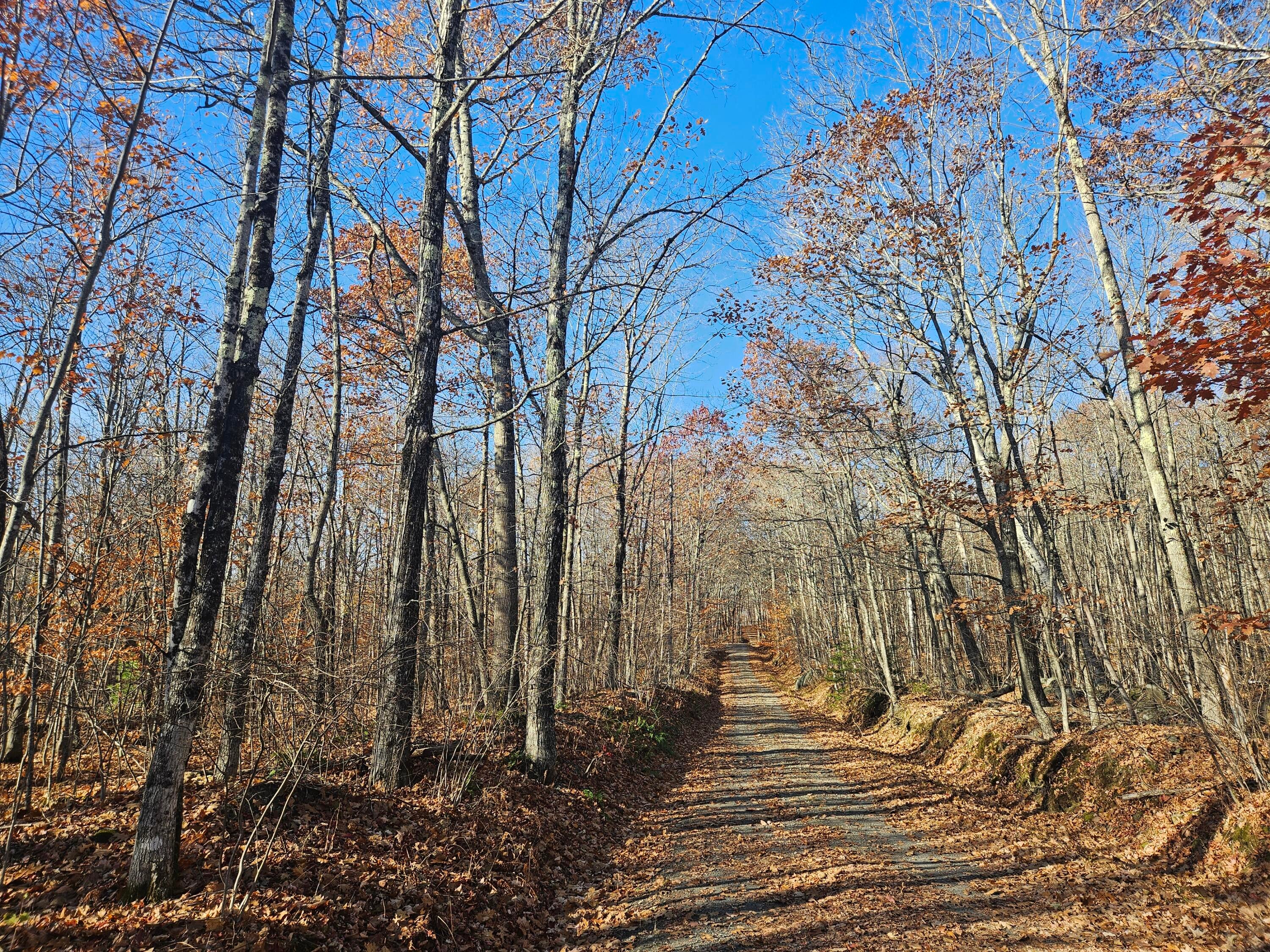134 Pratt Mountain Road