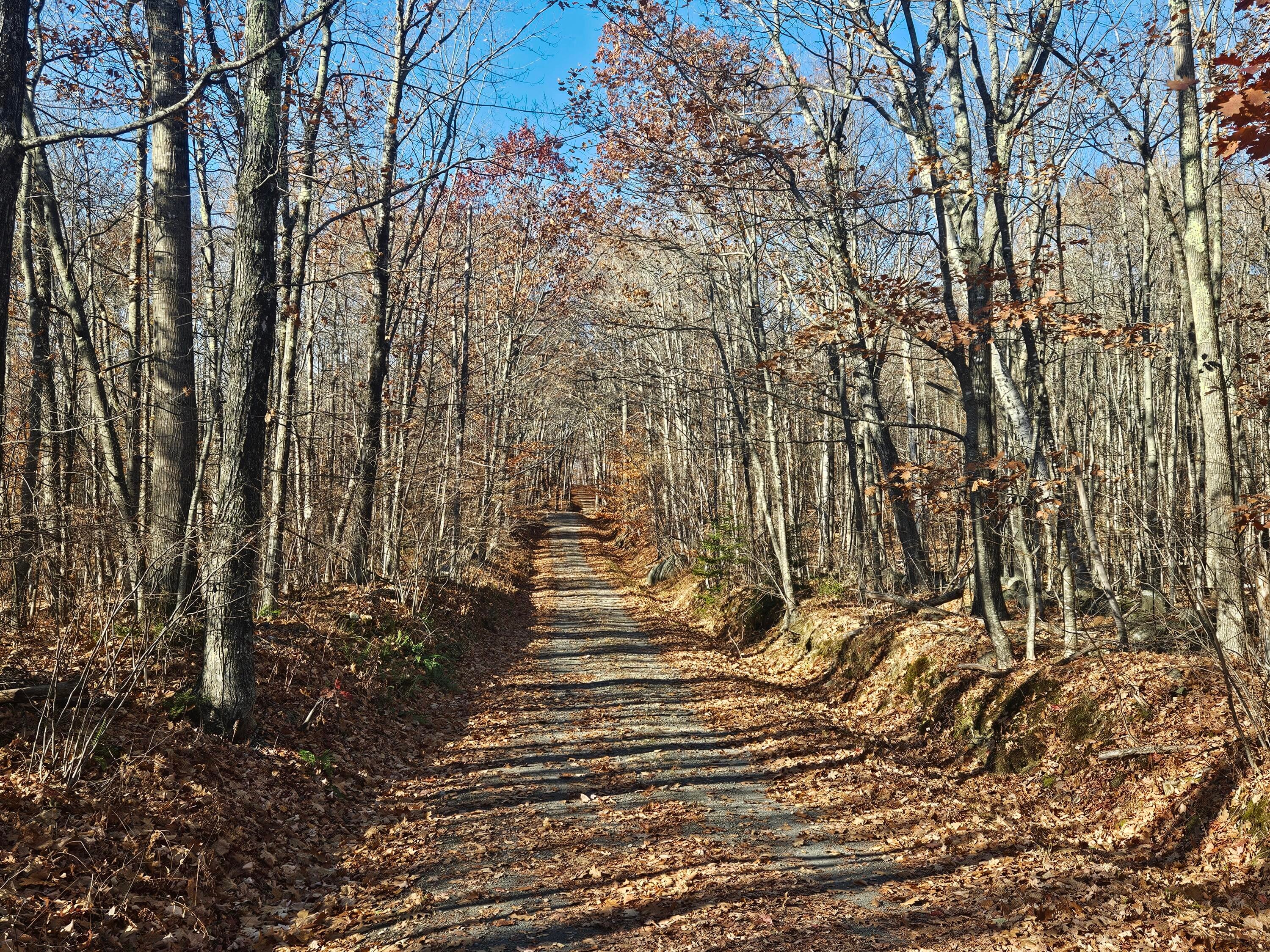 134 Pratt Mountain Road