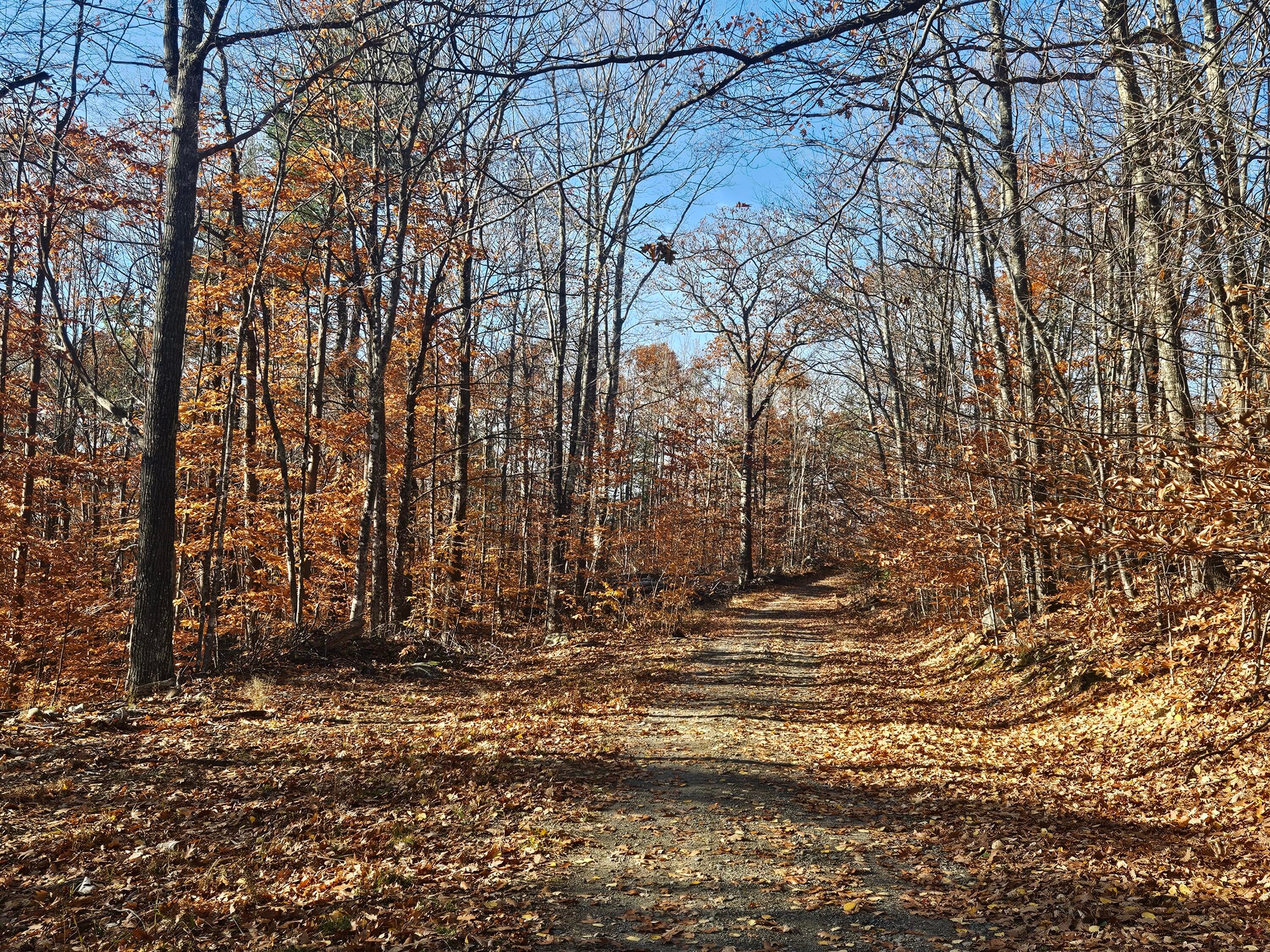134 Pratt Mountain Road