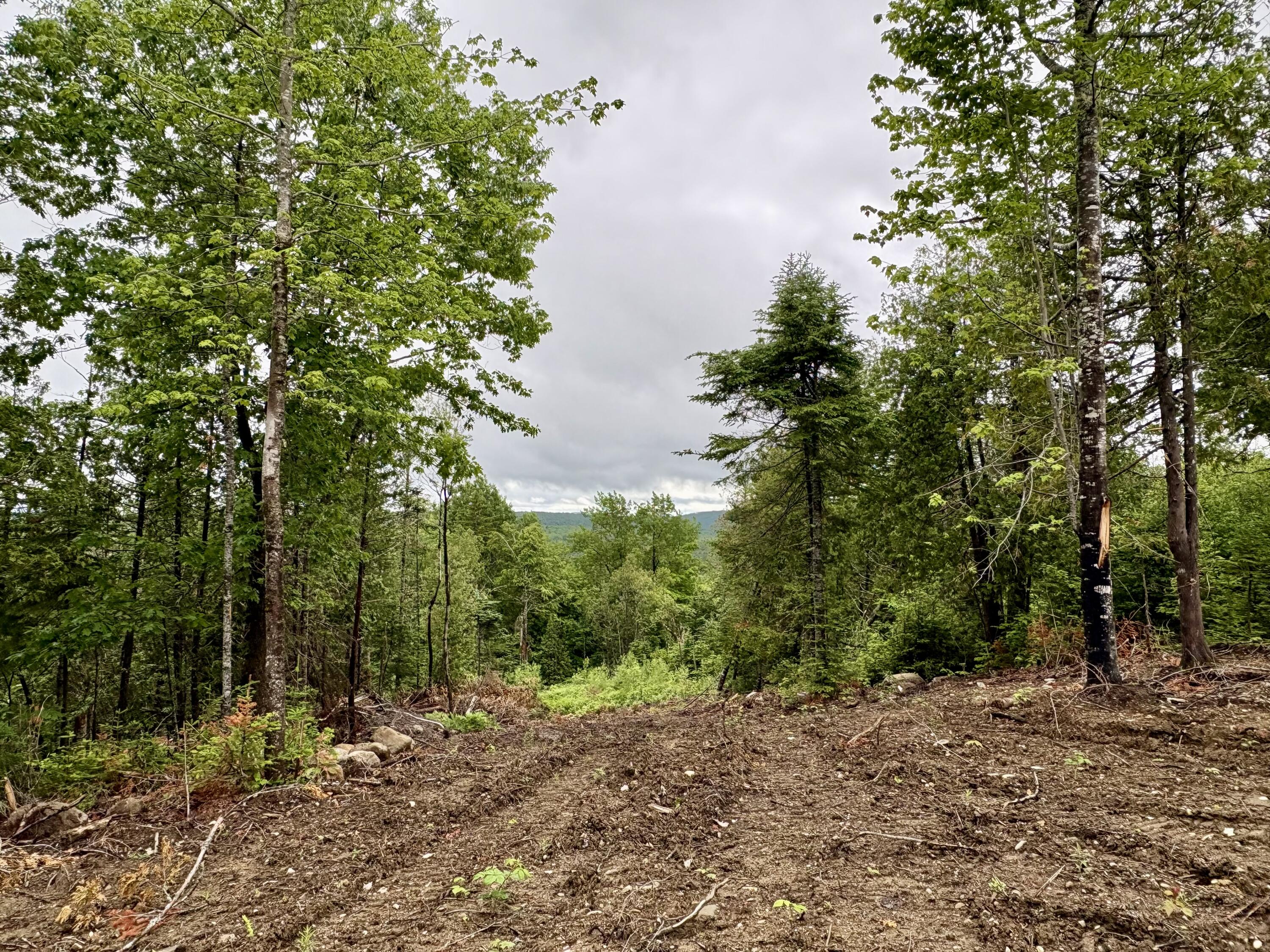 Lot 13 Mt. Jefferson Heights