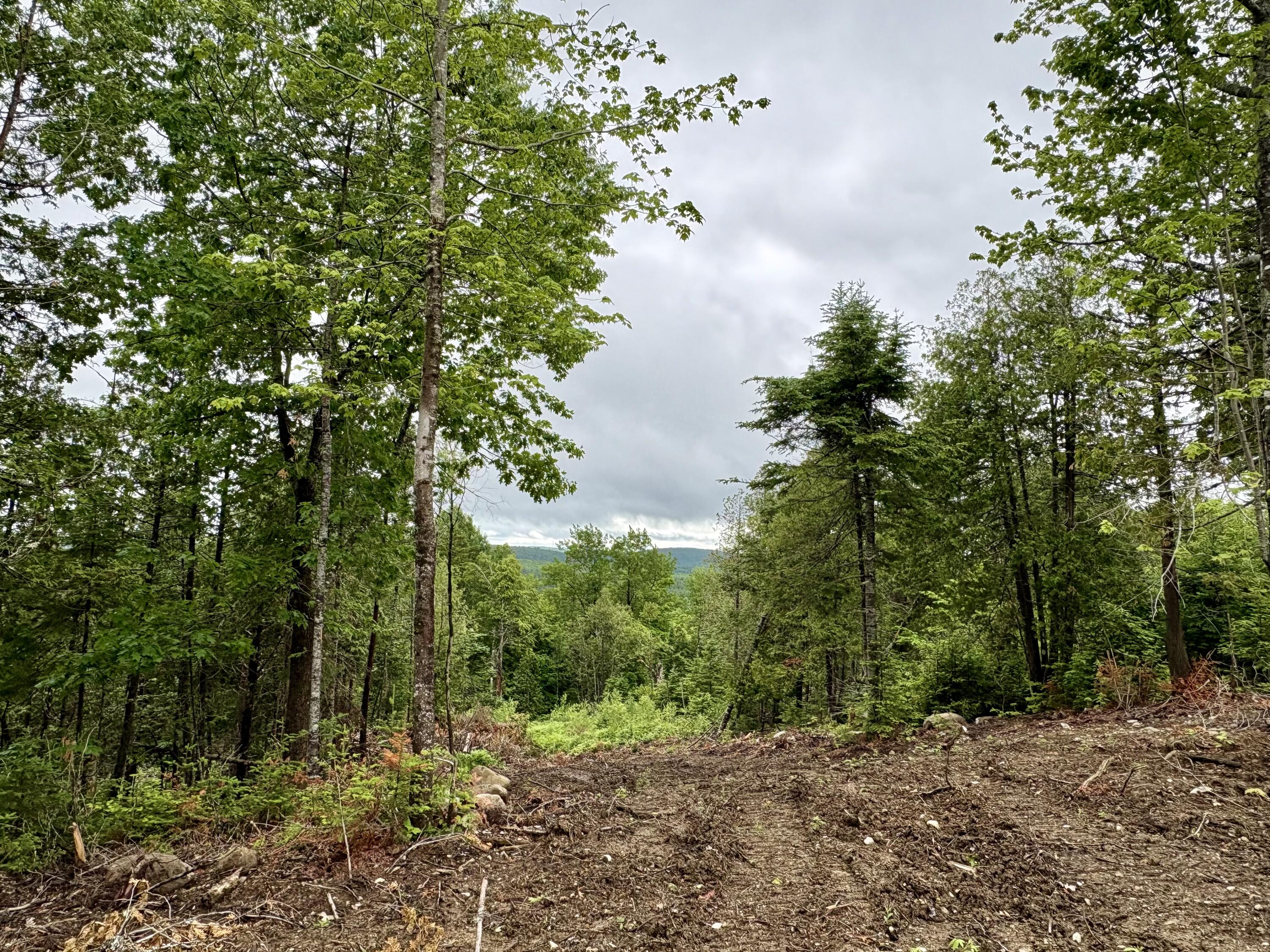 Lot 13 Mt. Jefferson Heights