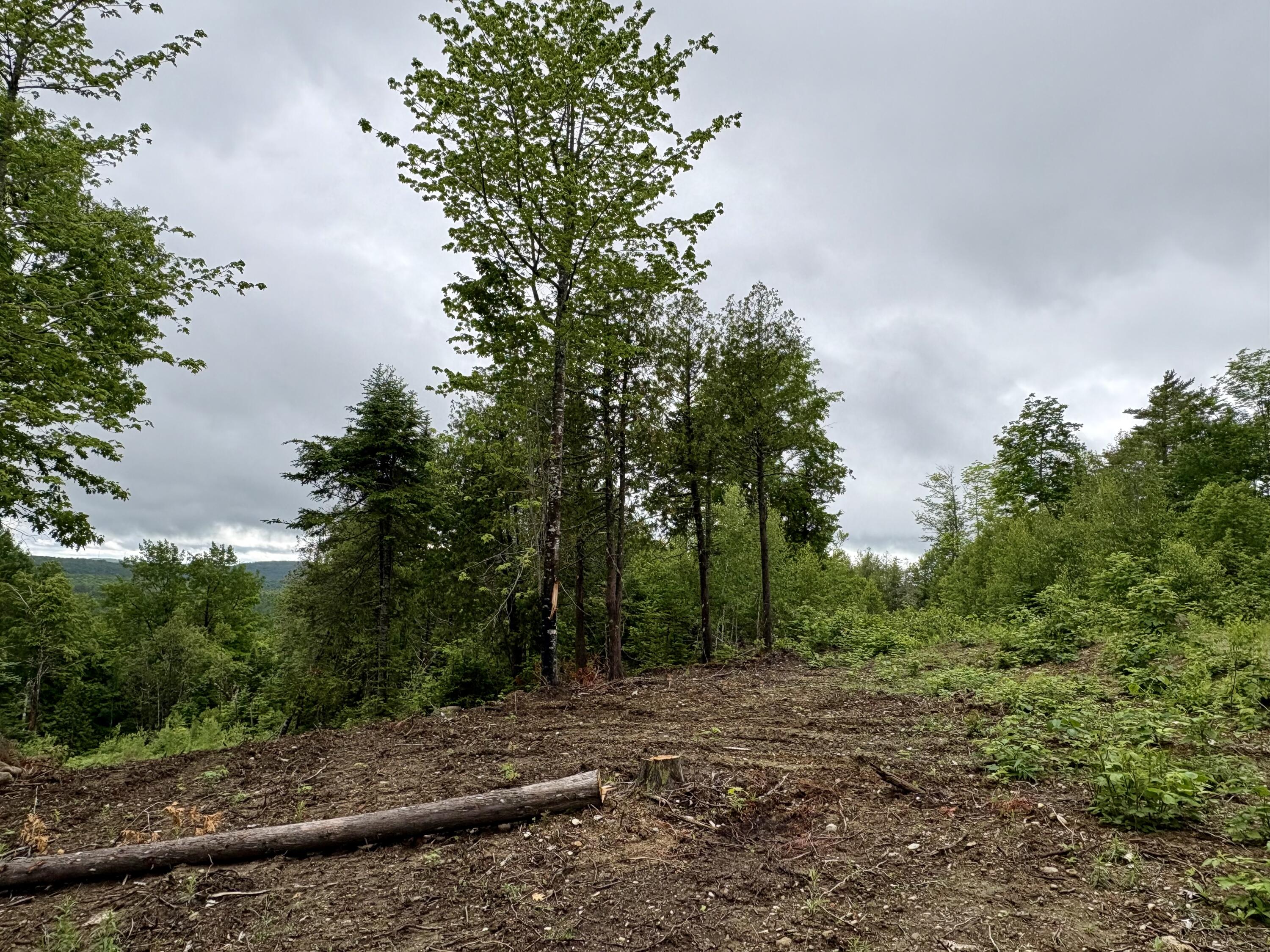 Lot 13 Mt. Jefferson Heights