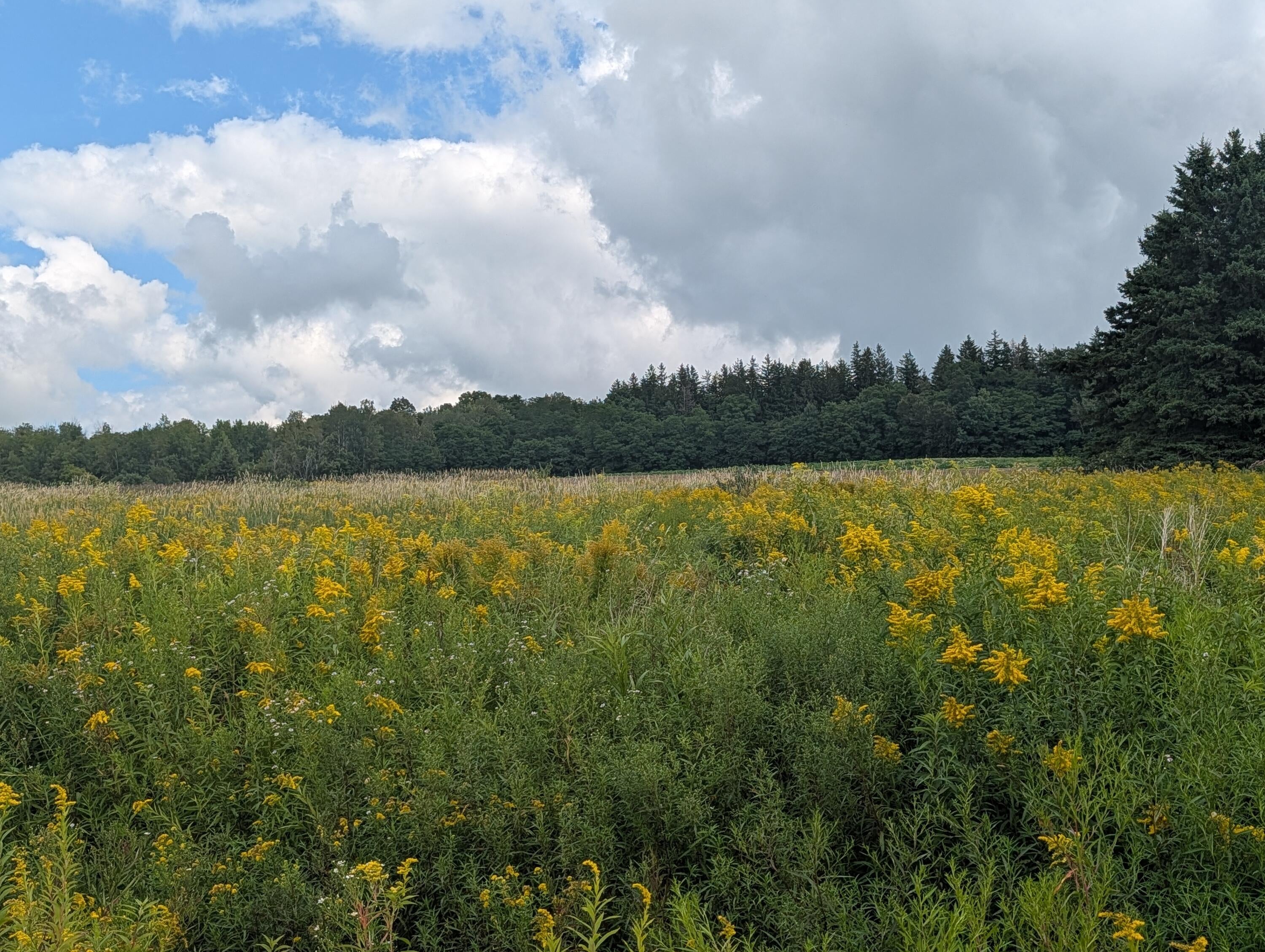 NA E Presque Isle Road