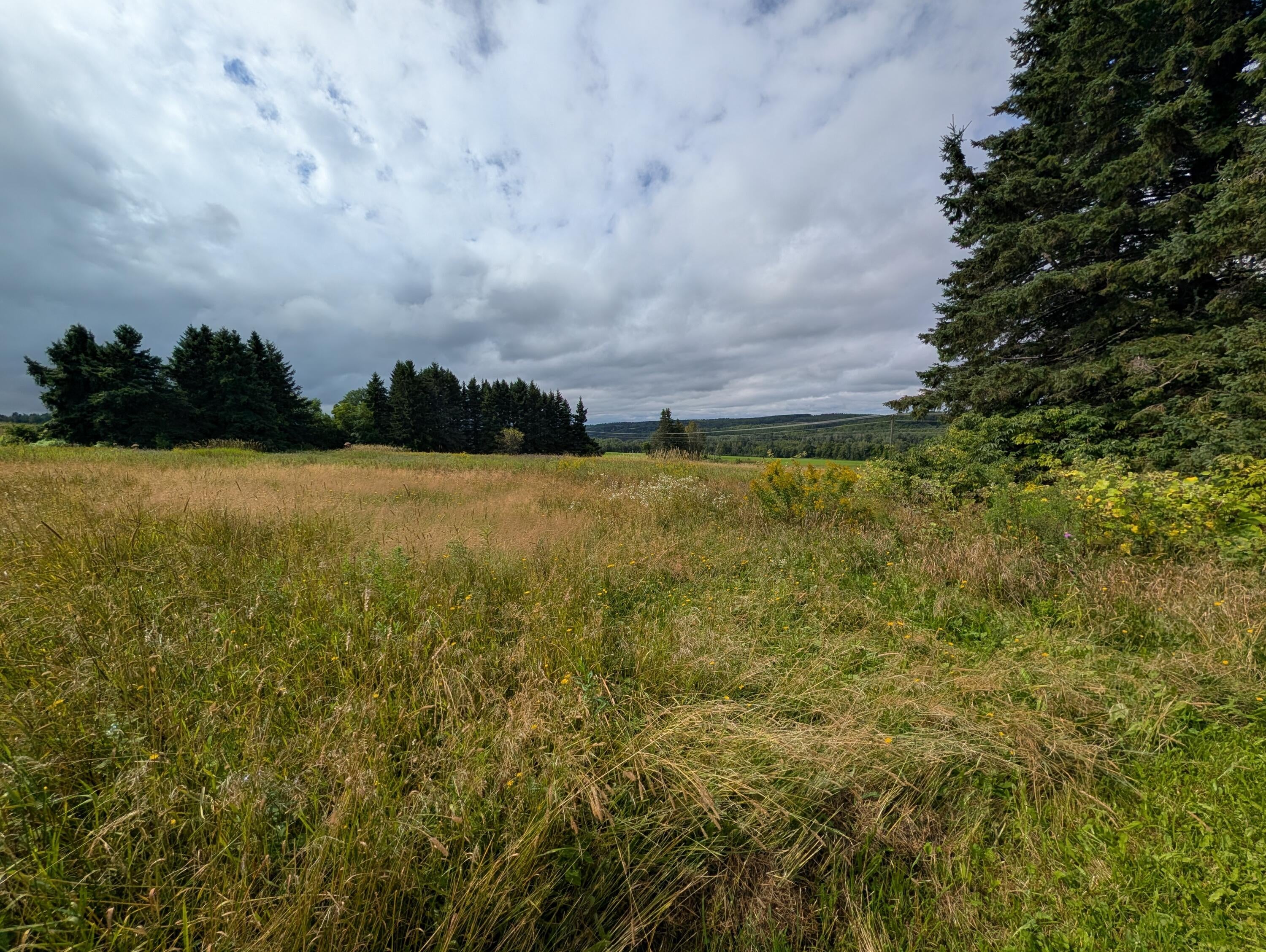 NA E Presque Isle Road