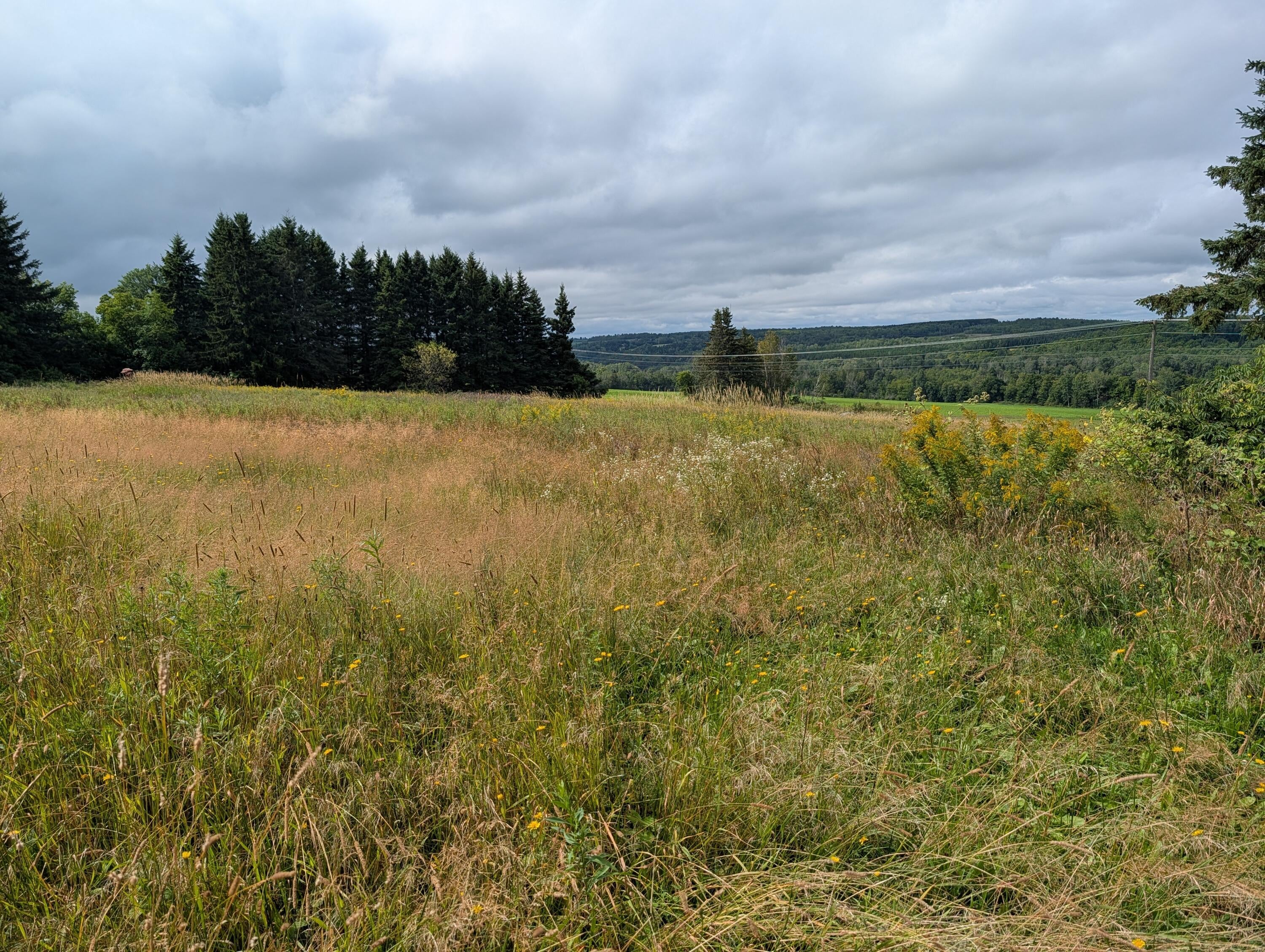 NA E Presque Isle Road