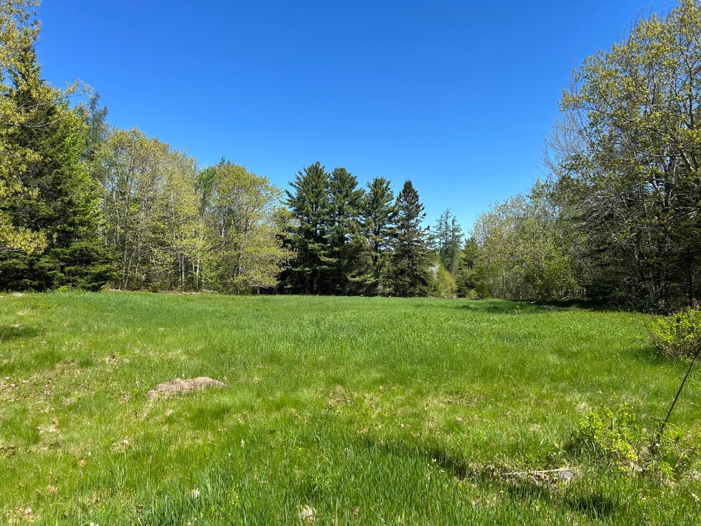 Photo of 3 Cemetery Road, Gouldsboro, ME 04607 (MLS # 1663825)