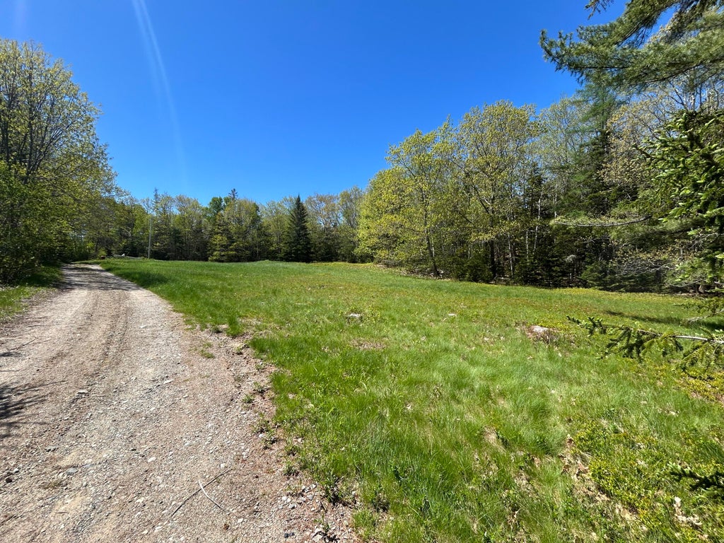 Photo of 3 Cemetery Road, Gouldsboro, ME 04607 (MLS # 1663825)