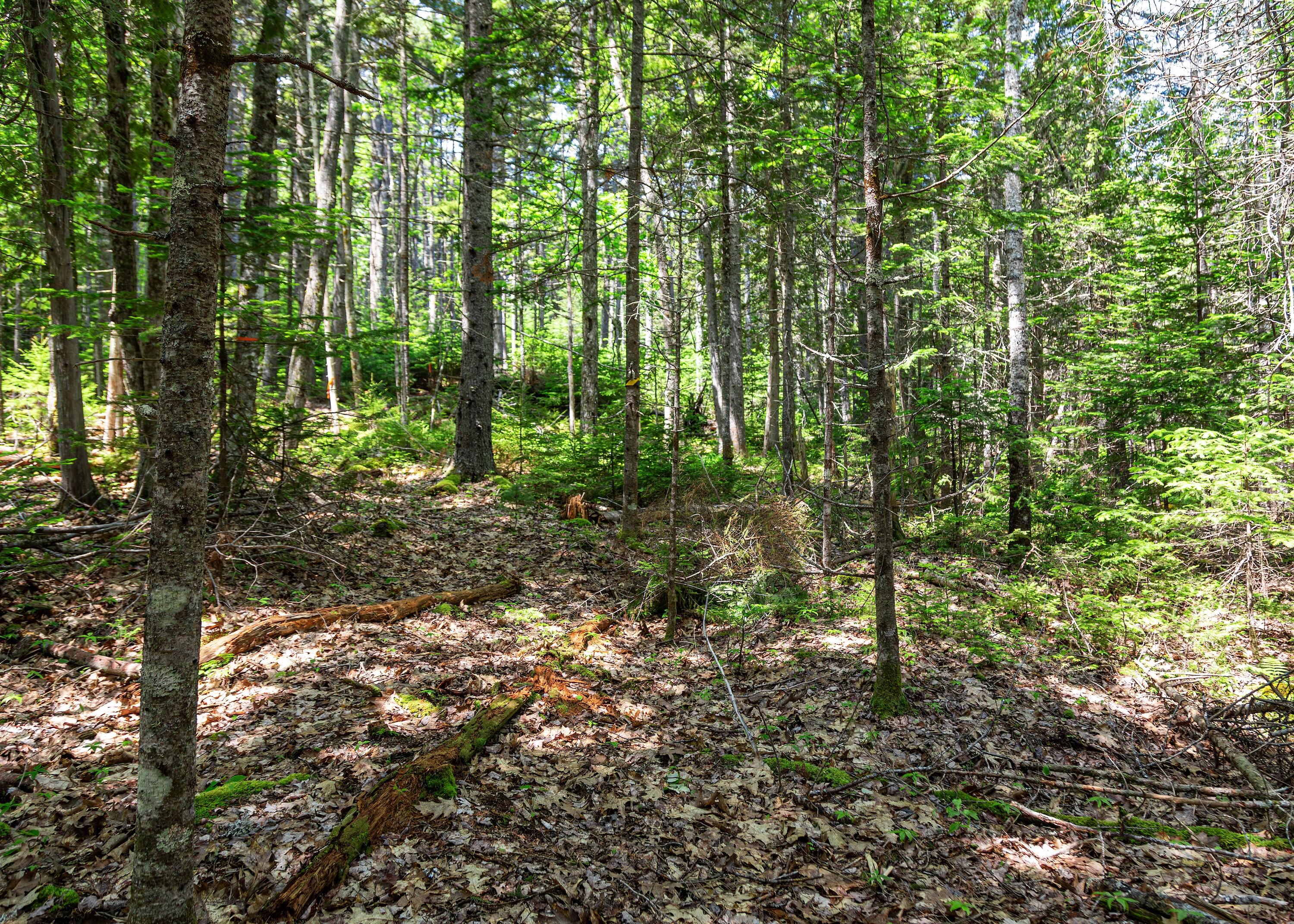 Lot 3 Belle Grande Drive