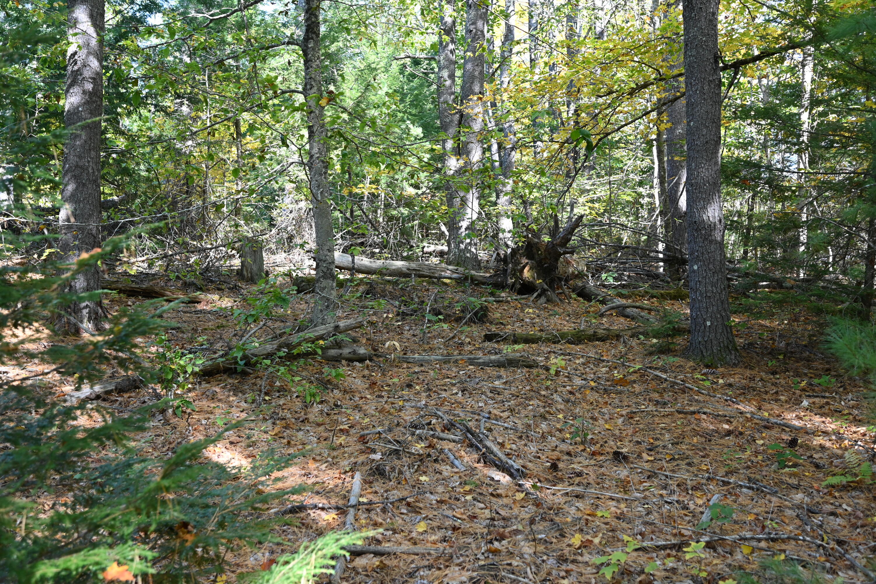 411 Middle Road