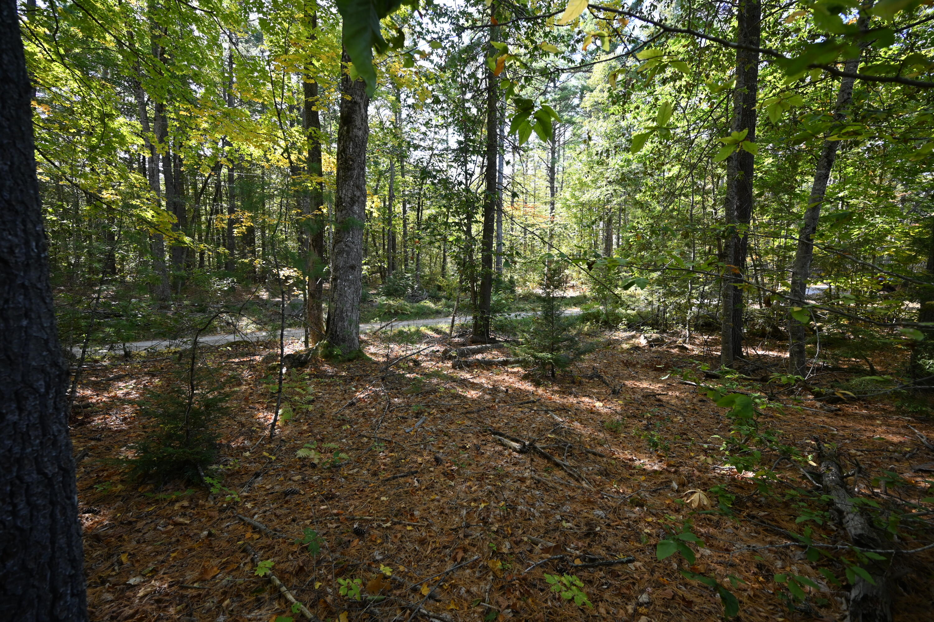 411 Middle Road