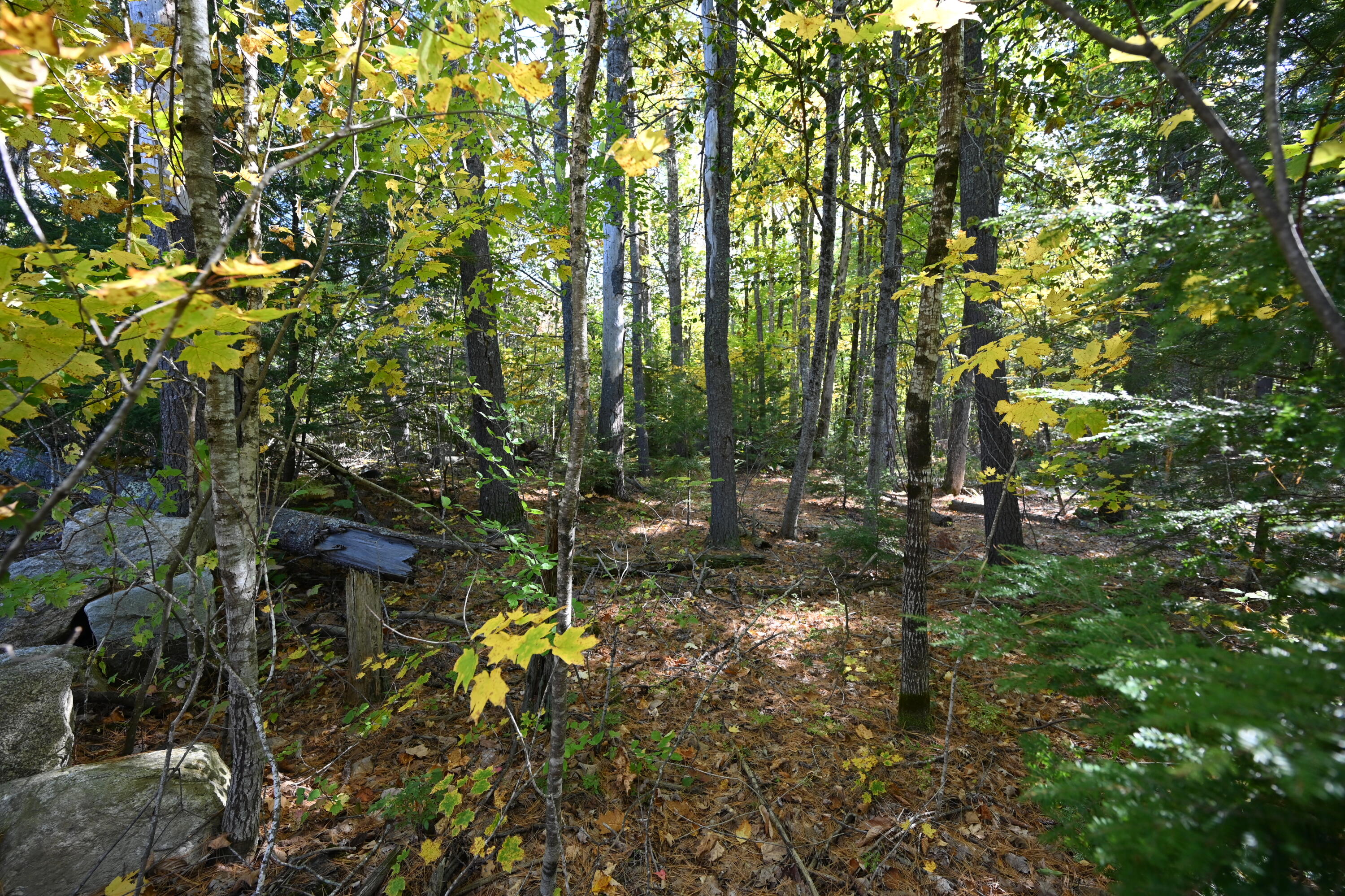 411 Middle Road