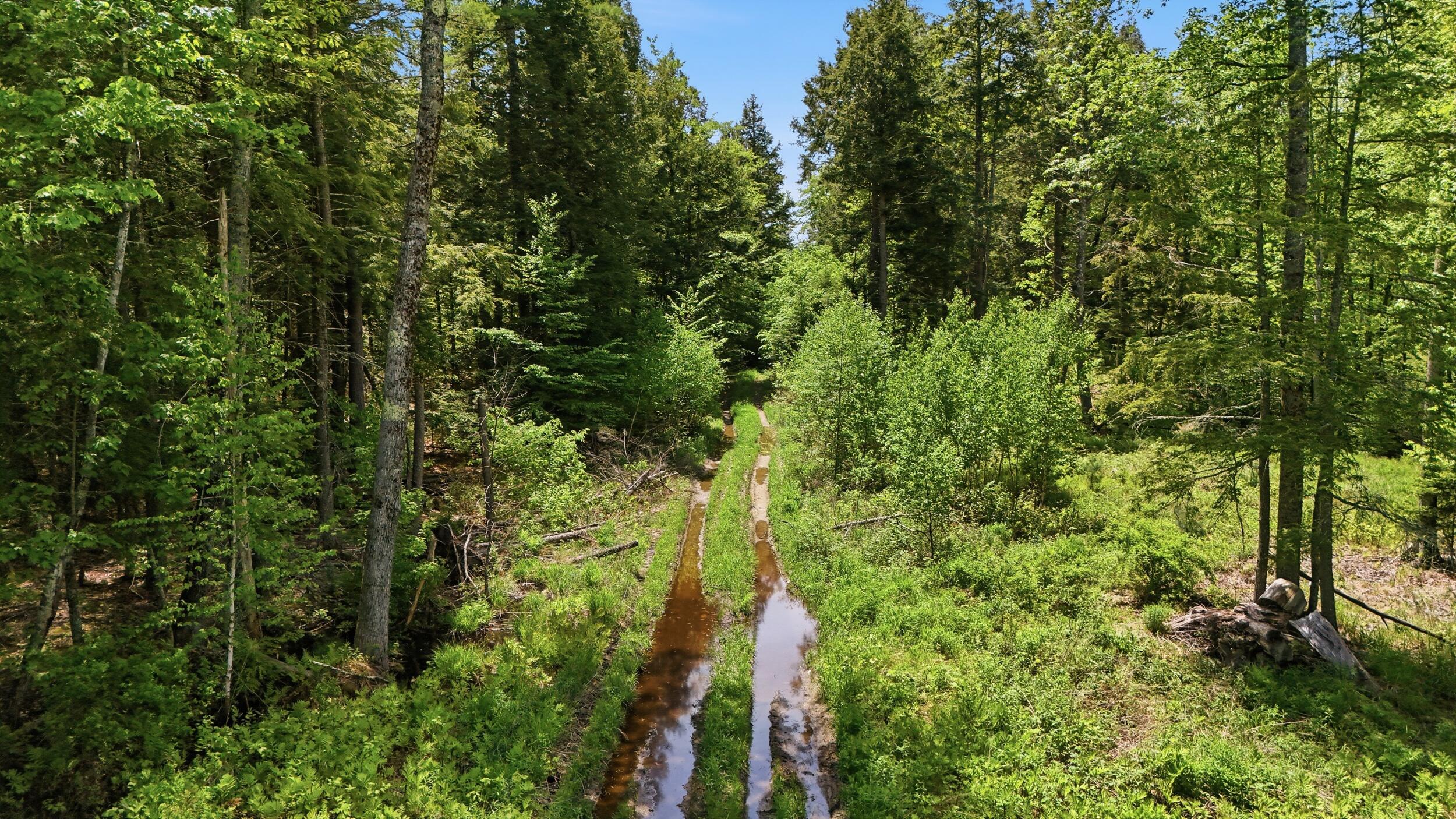 Lot  16C-1 Palmer Road