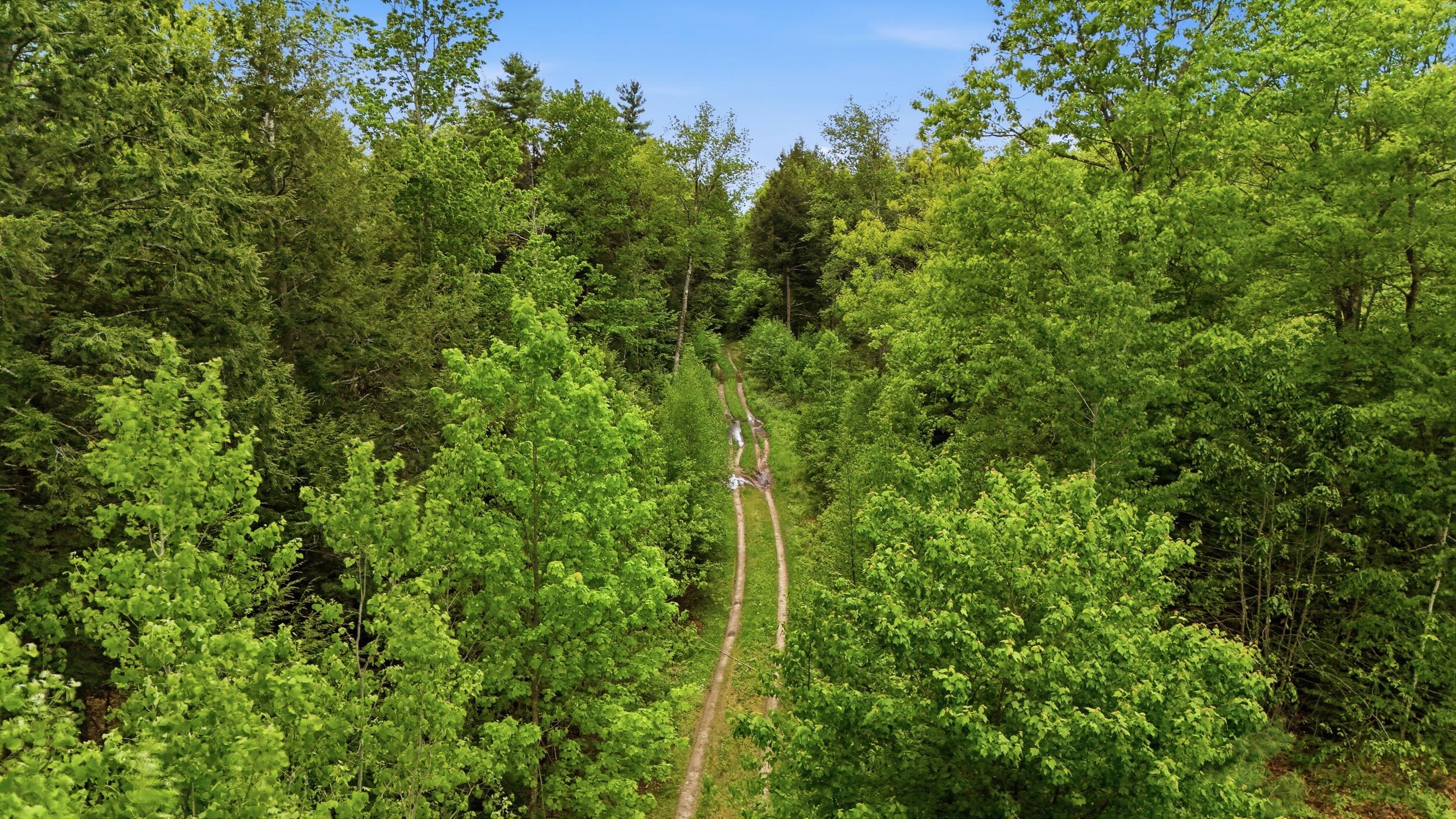 Lot  16C-1 Palmer Road