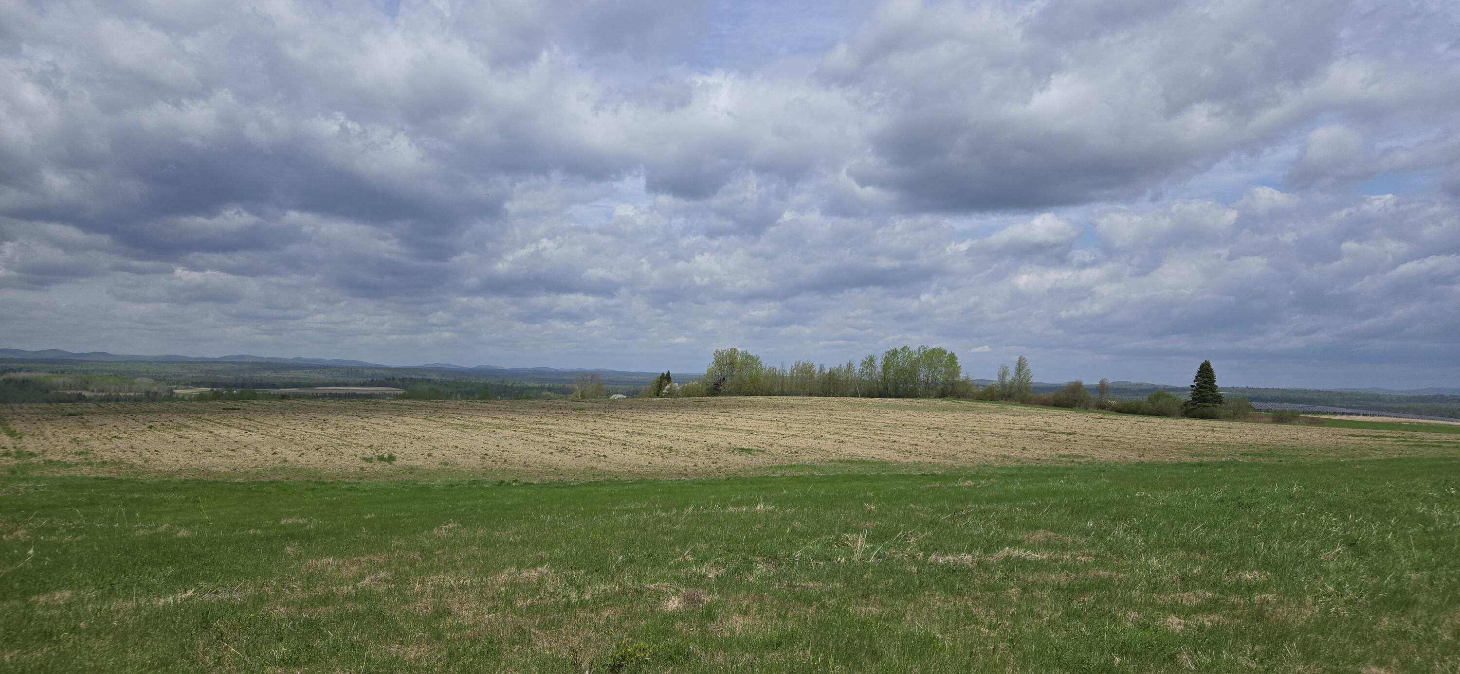 M14  L1 Sheridan Road