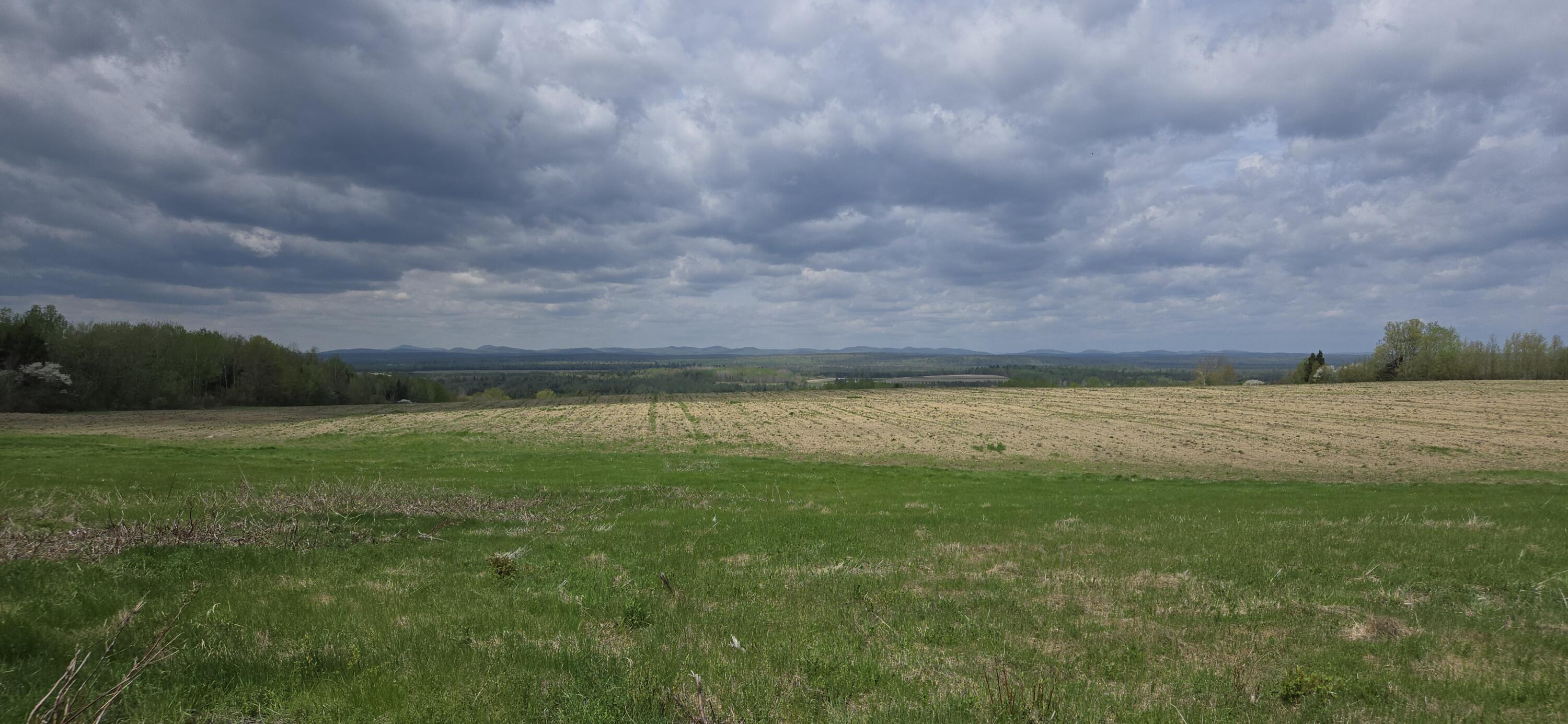 M14  L1 Sheridan Road