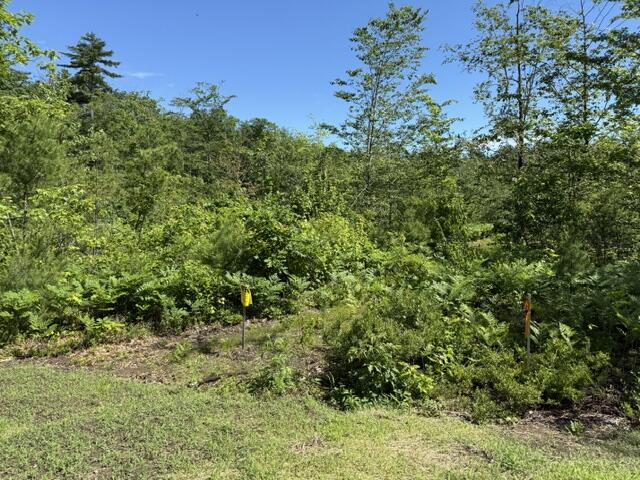 Lot 2 Young's Way