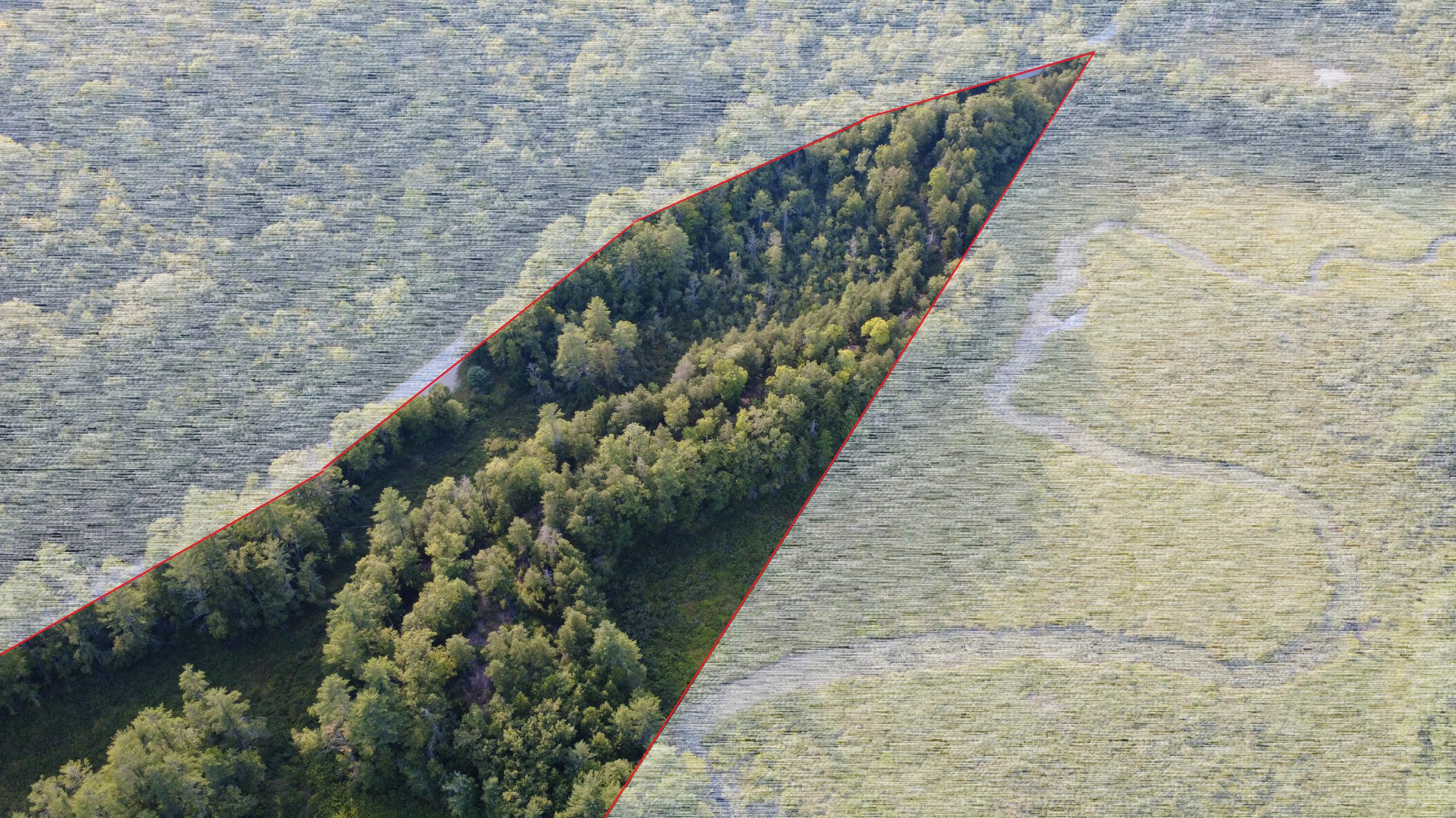 Lot 5 Quarry Road