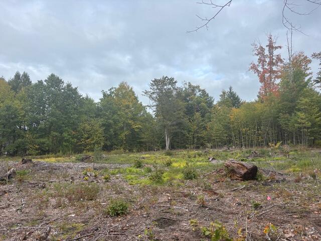 Lot #2 Branch View