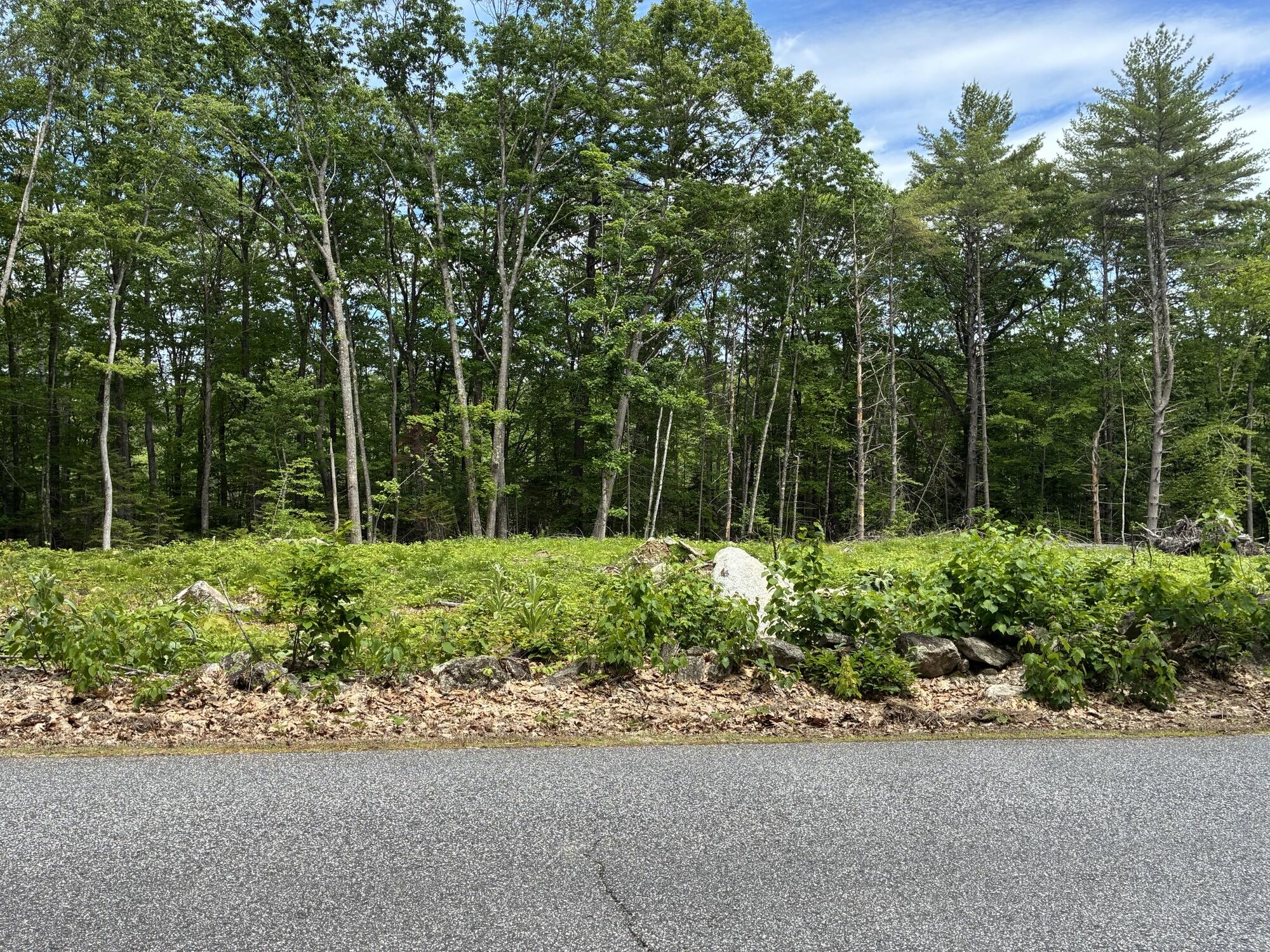 Map7Lot40 Round The Pond Road