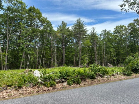 Photo of Map7Lot40 Round The Pond Road, Norway, ME 04268 (MLS # 1667082)