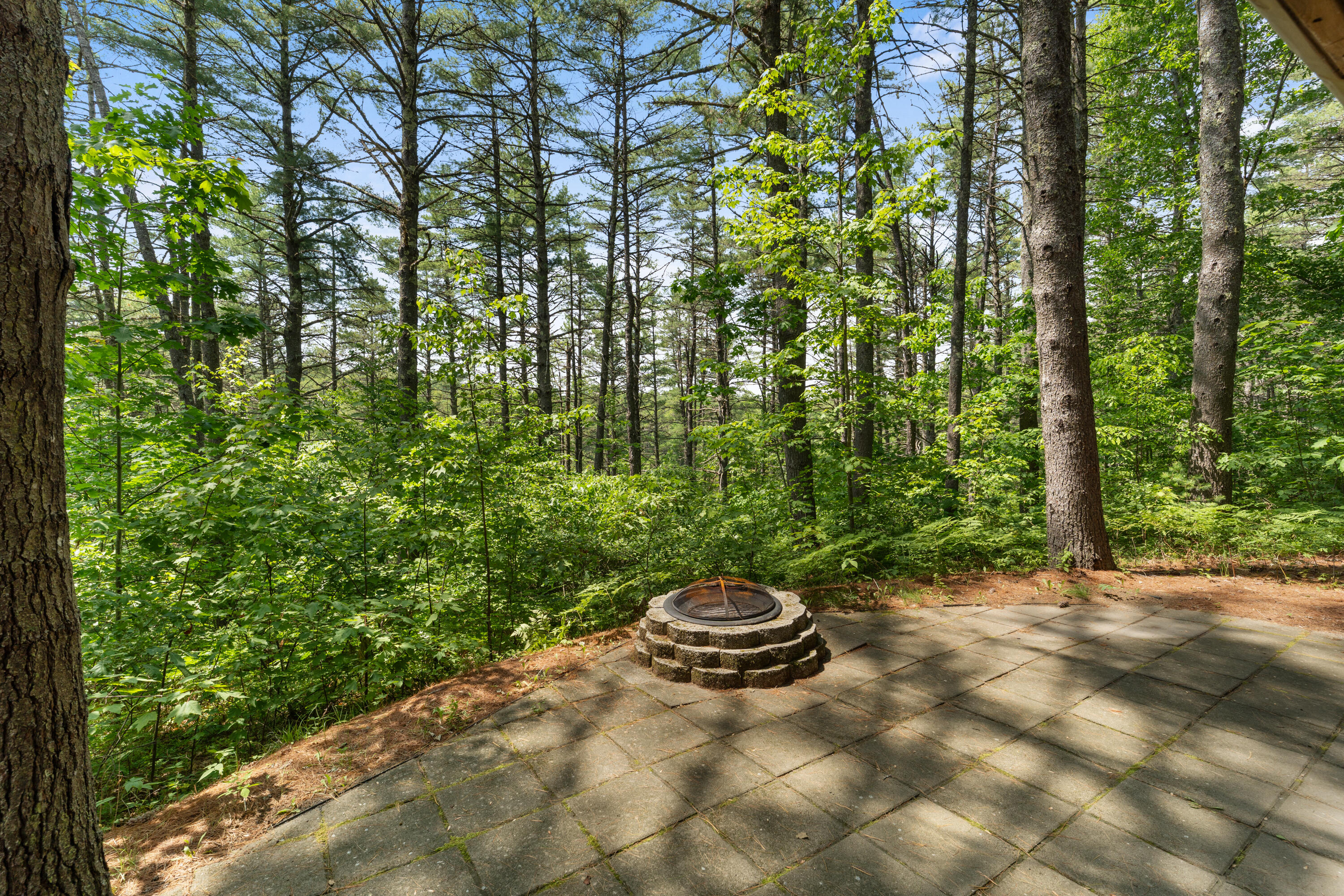59 Kettle Pond Road 14