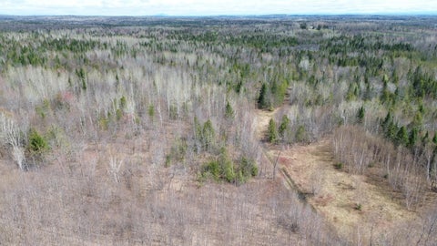 Photo of 1063 Ludlow Road, Ludlow, ME 04730 (MLS # 1663160)