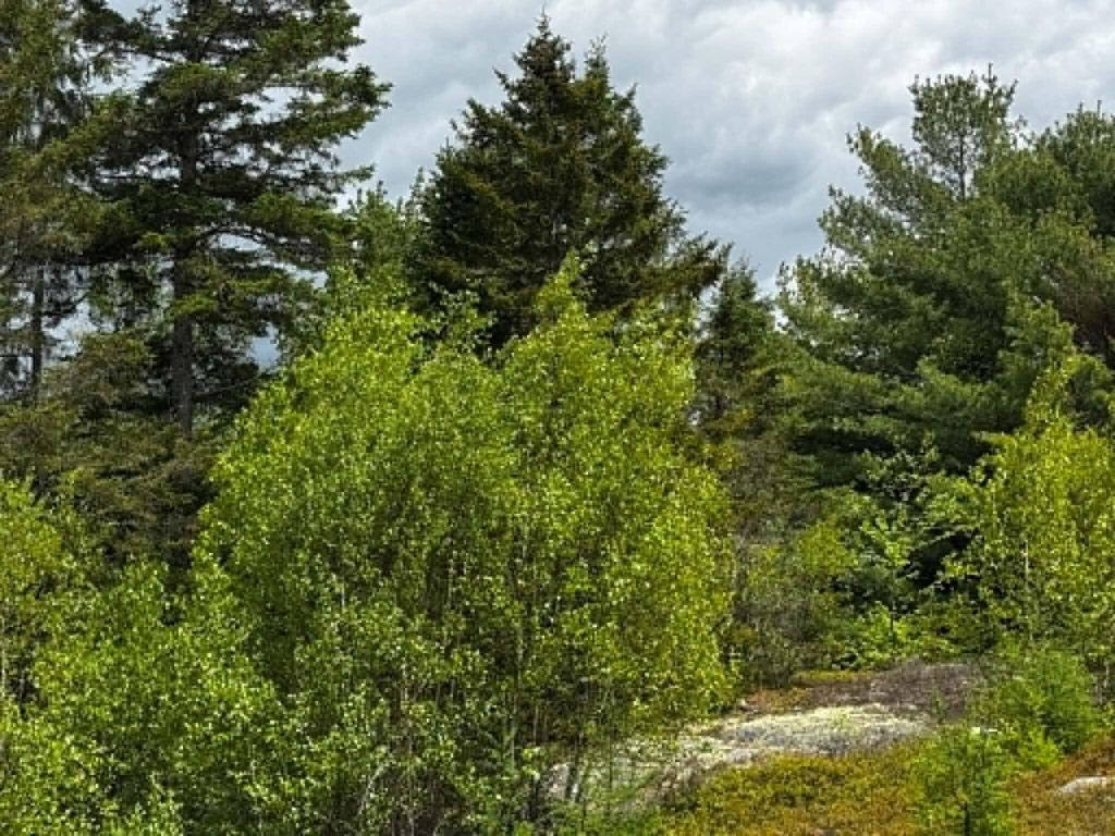 Photo of Lot 1 &amp; 2B Elm Street, Machias, ME 04654 (MLS # 1664644)