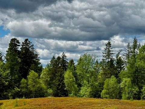 Photo of Lot 1 & 2B Elm Street, Machias, ME 04654 (MLS # 1664644)