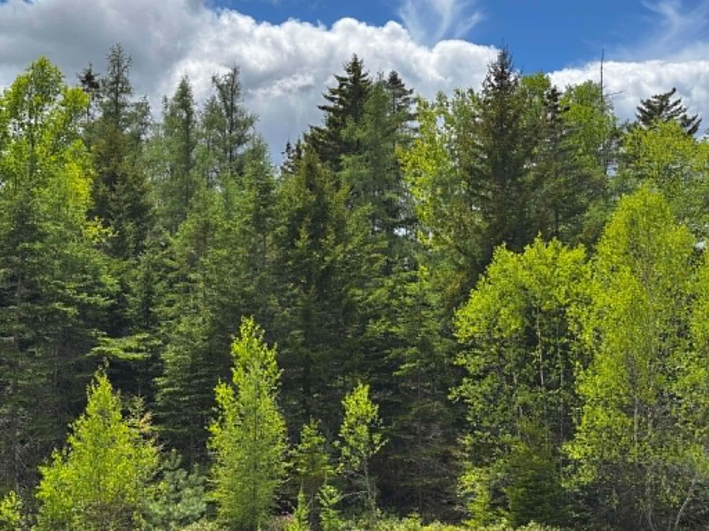 Photo of Lot 1 &amp; 2B Elm Street, Machias, ME 04654 (MLS # 1664644)