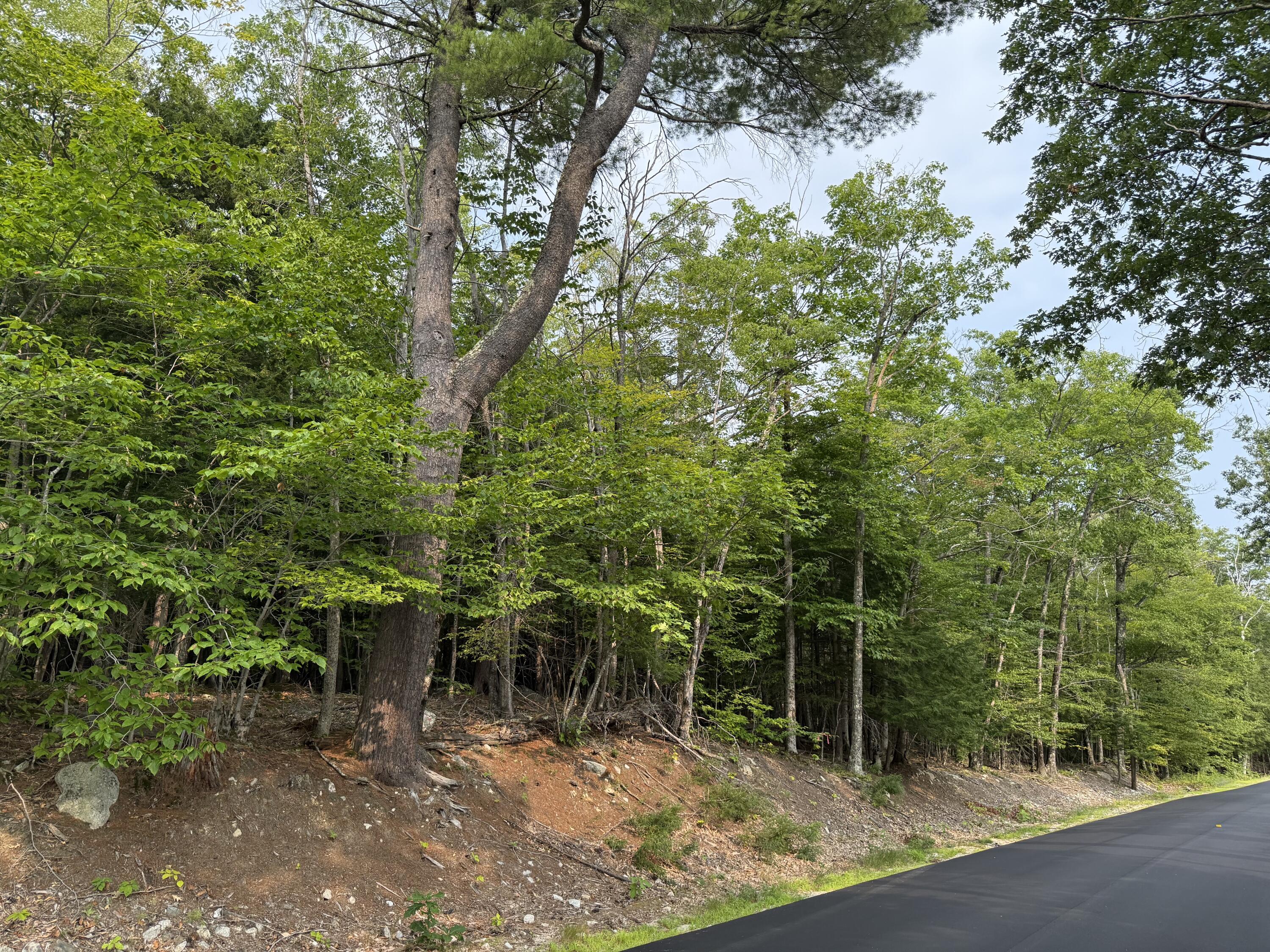 Lot 15-3B Sweden Road