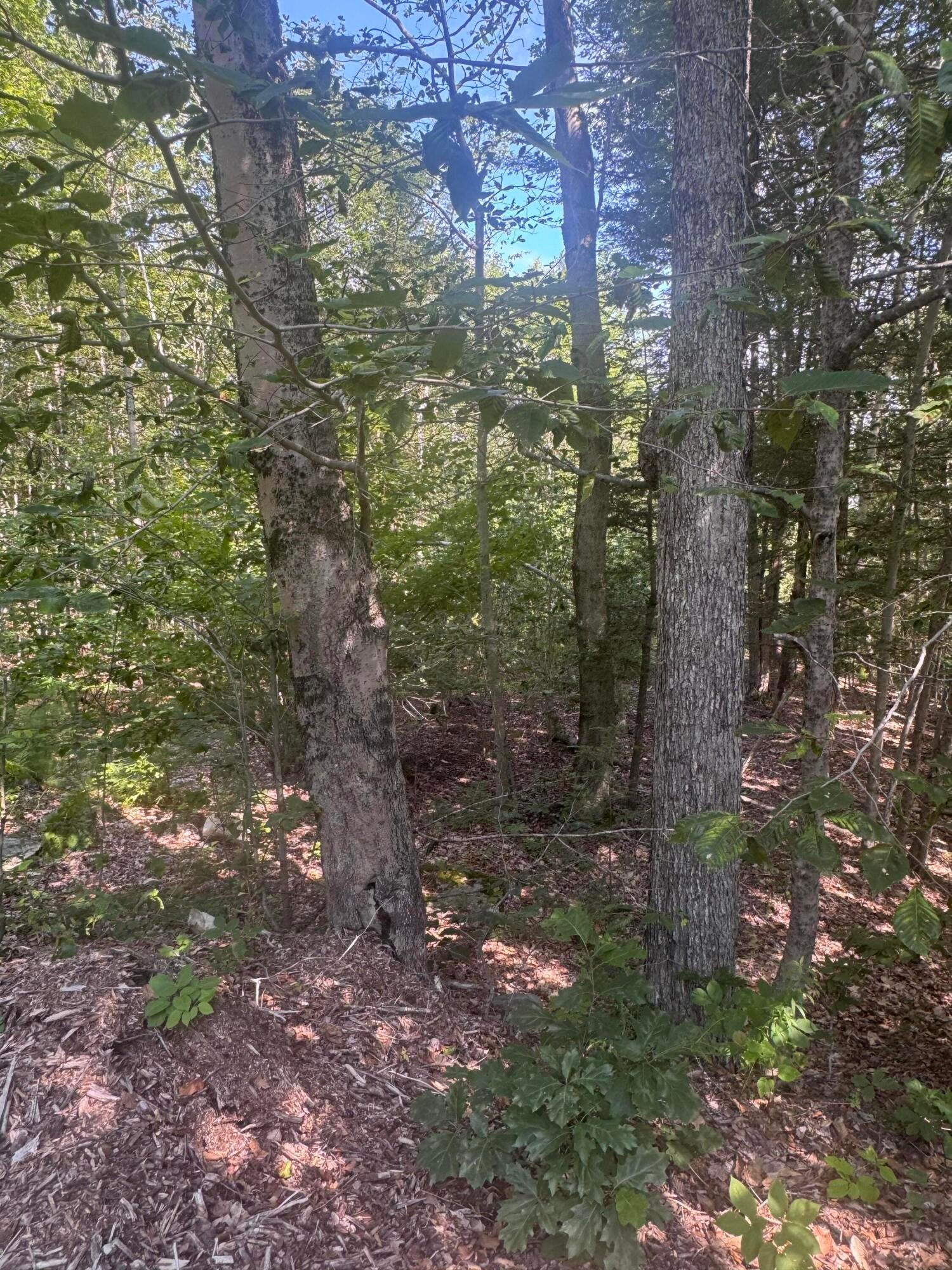 L24 Poplar Ridge Drive